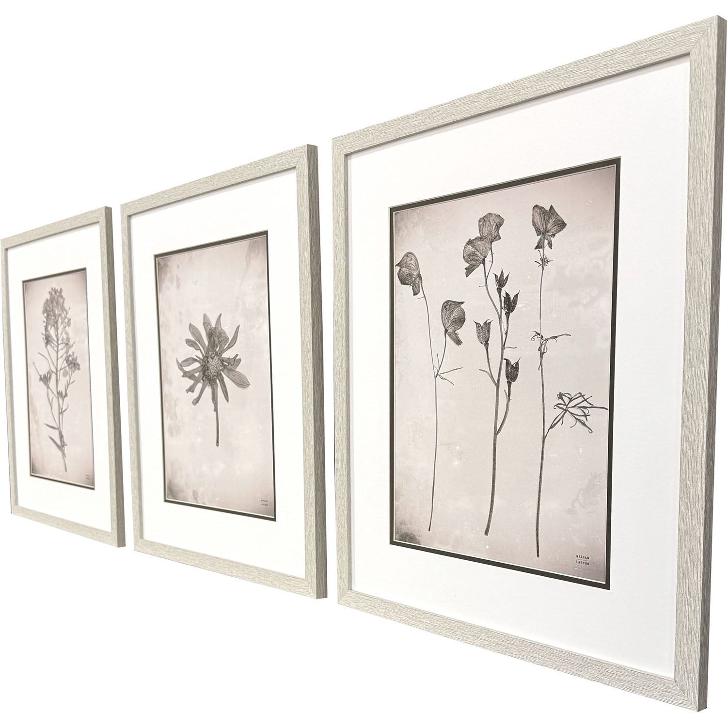 Jordan Glassco-Smith Wildflower Stems I Framed Art Set of 3