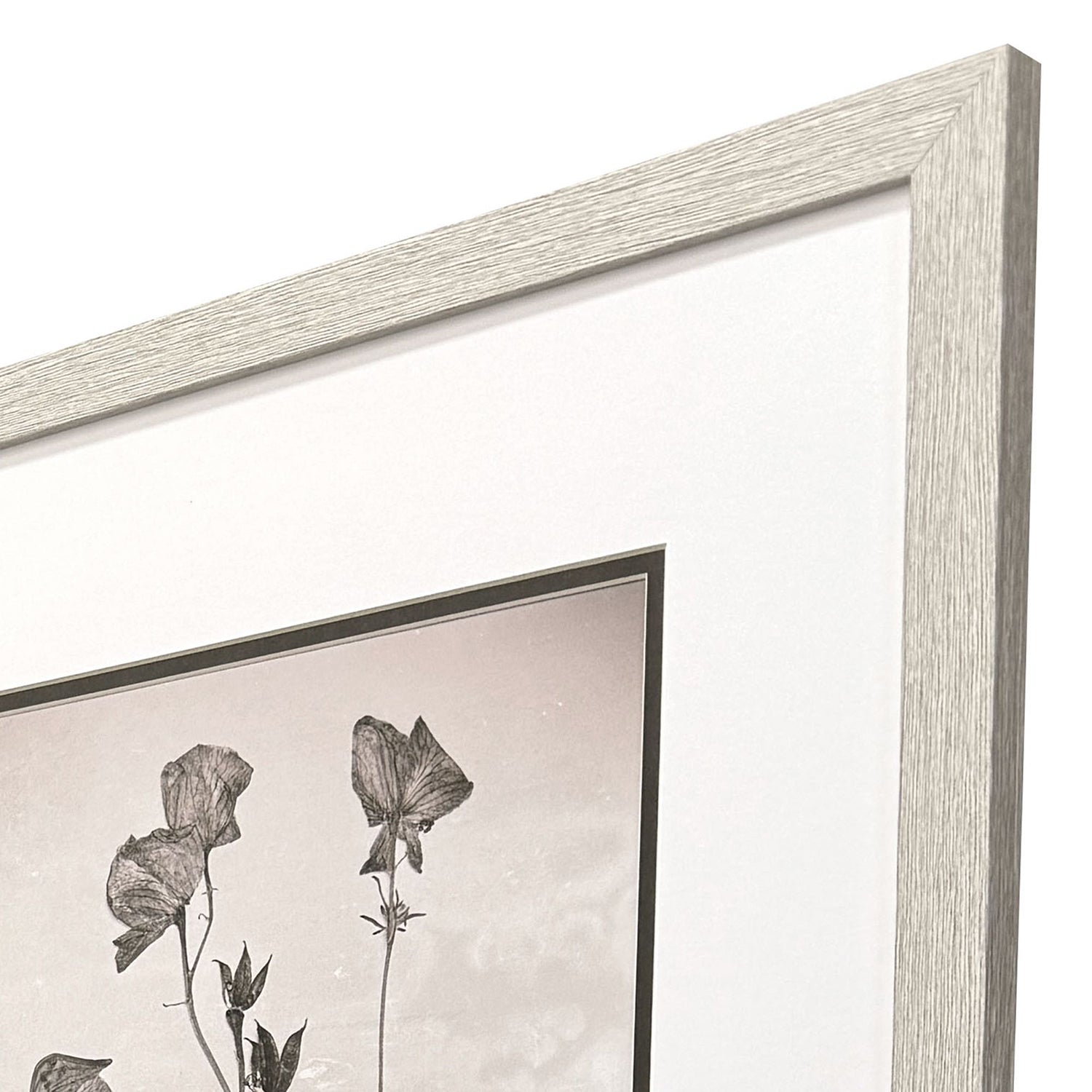 Jordan Glassco-Smith Wildflower Stems I Framed Art Set of 3