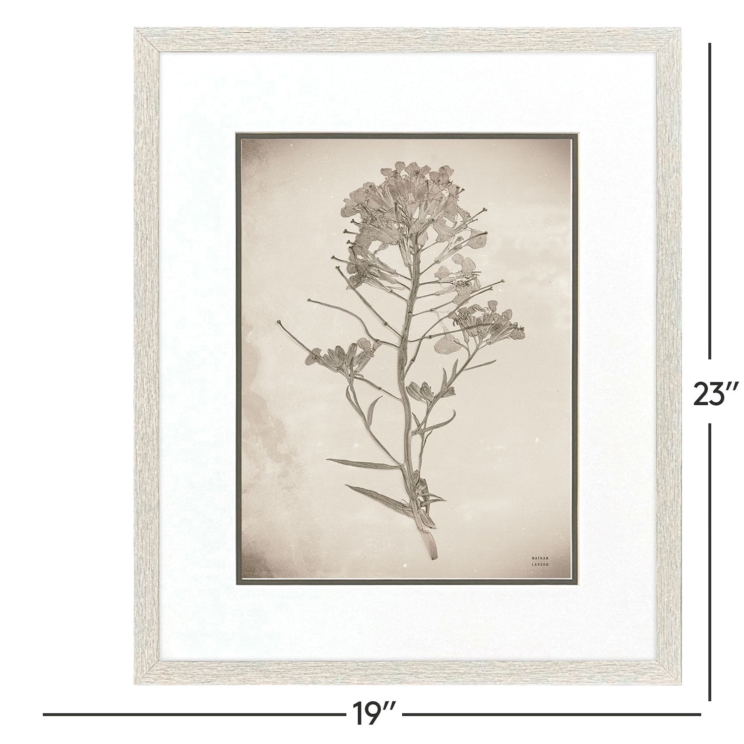 Jordan Glassco-Smith Wildflower Stems I Framed Art Set of 3