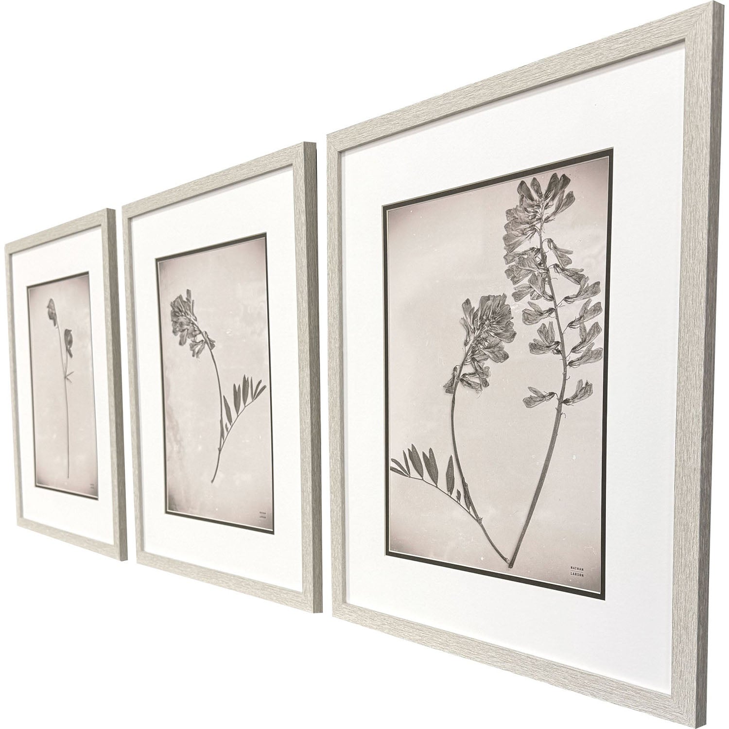 Jordan Glassco-Smith Wildflower Stems II Framed Art Set of 3