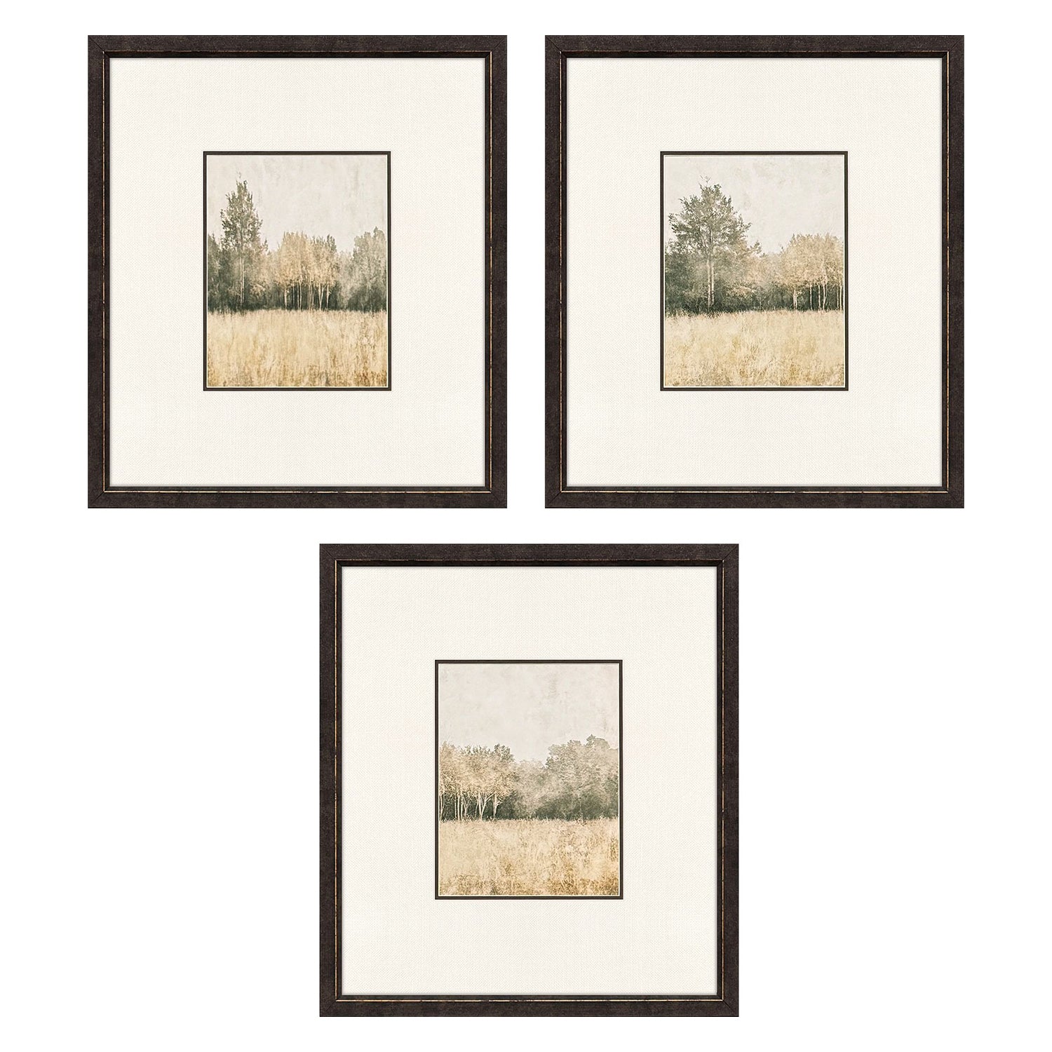 Jordan Glassco-Smith Watercolor Woods I Framed Art Set of 3