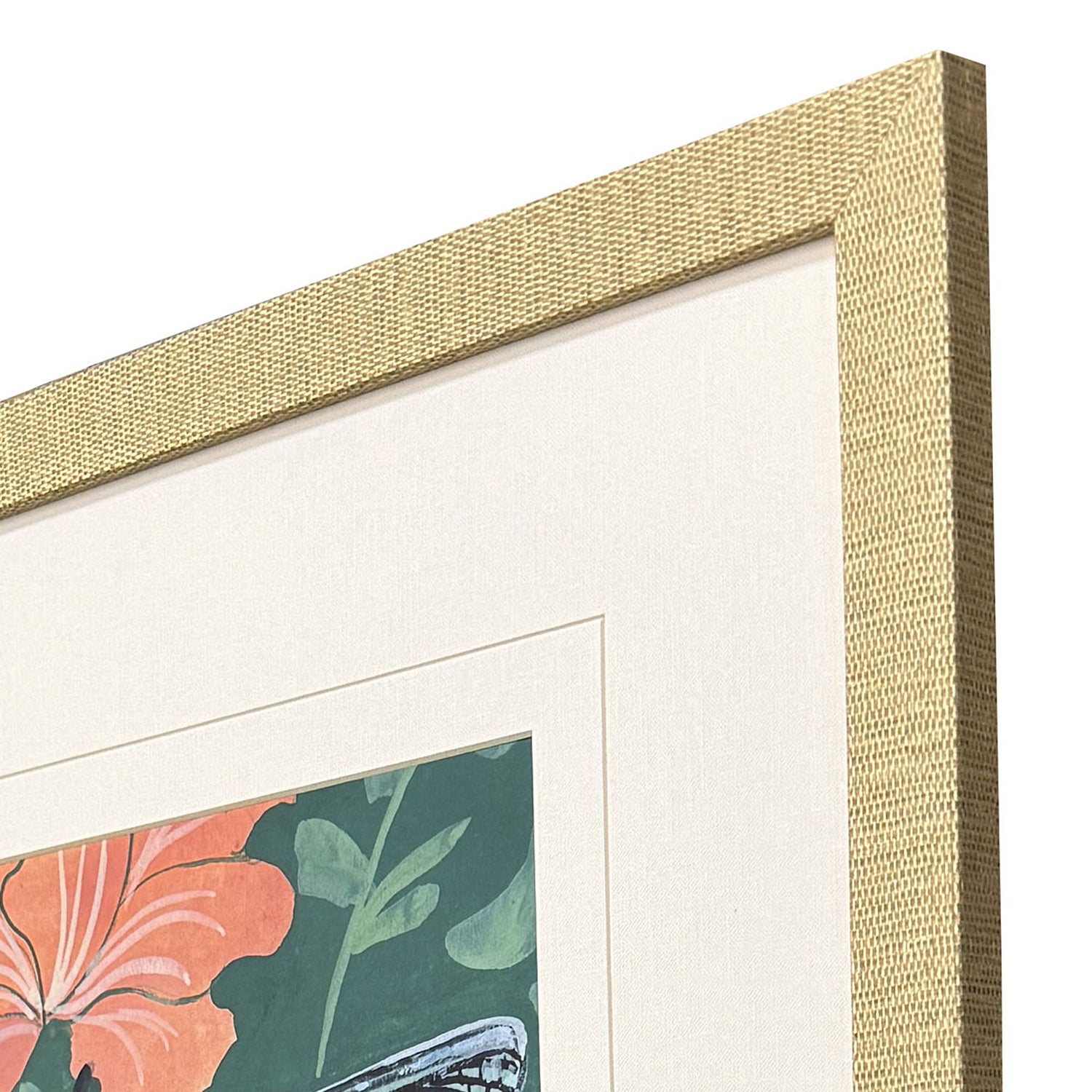 Jordan Glassco-Smith Dragonfly on Wall Framed Art