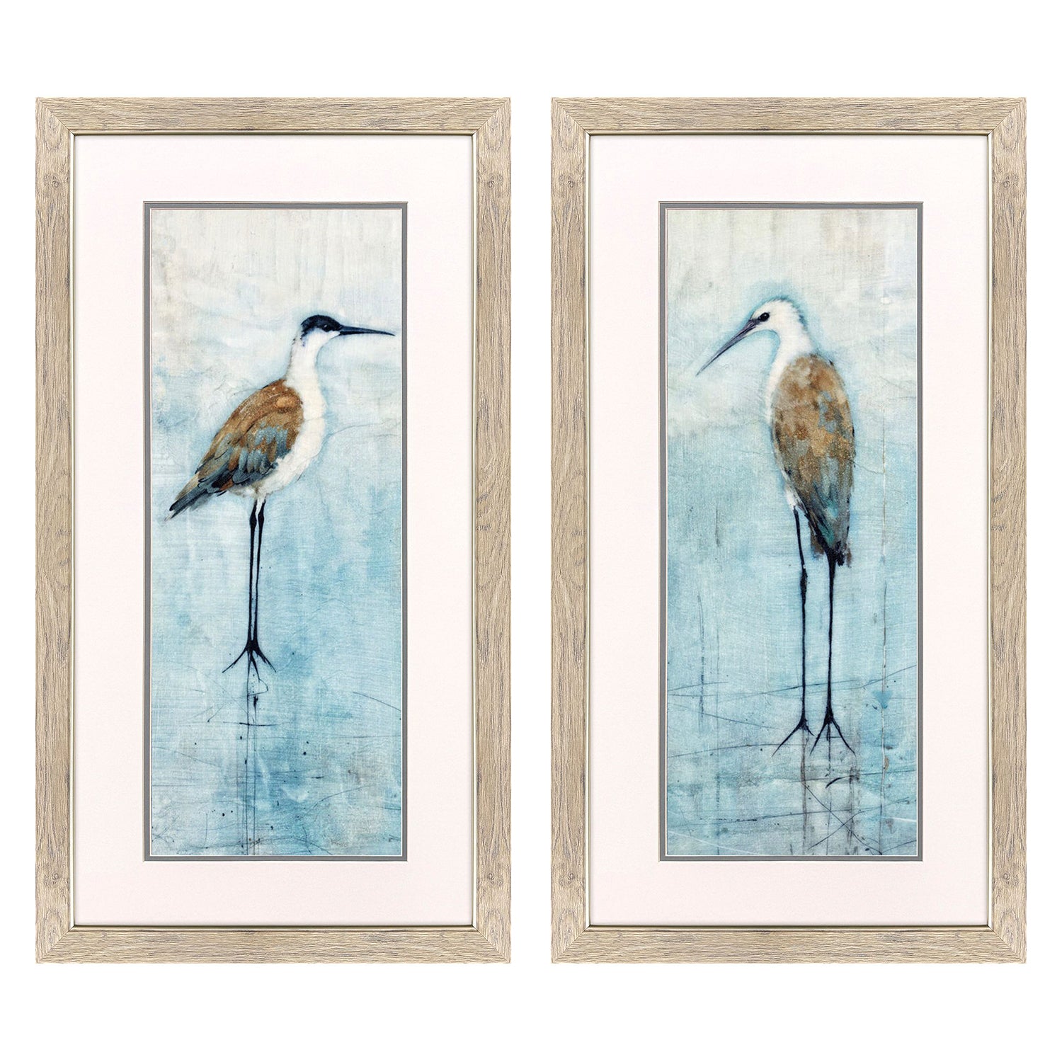 Jordan Glassco-Smith Seabirds Panel Framed Art Set of 2