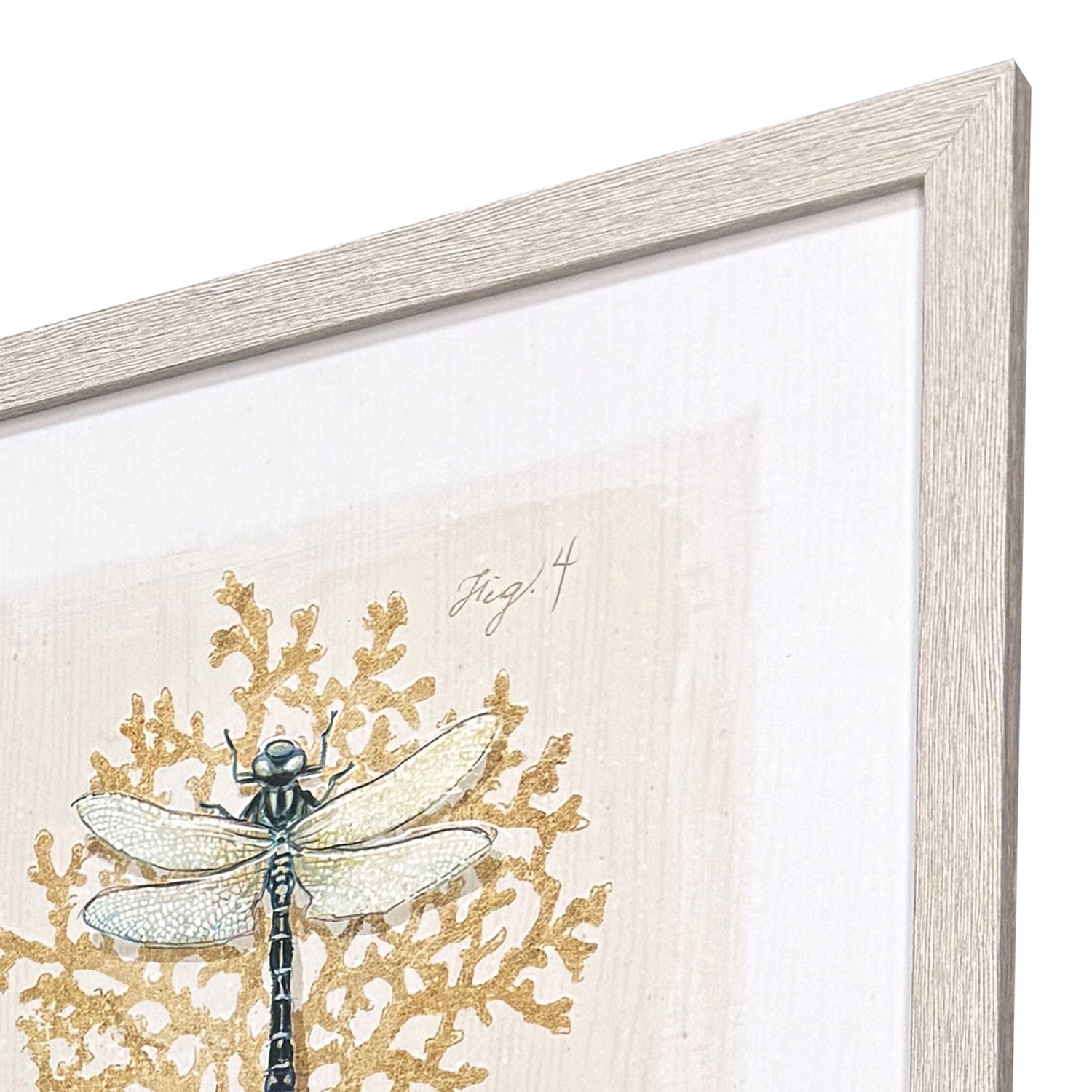 Sarah Lang Coastal Wonder Framed Art Set of 4