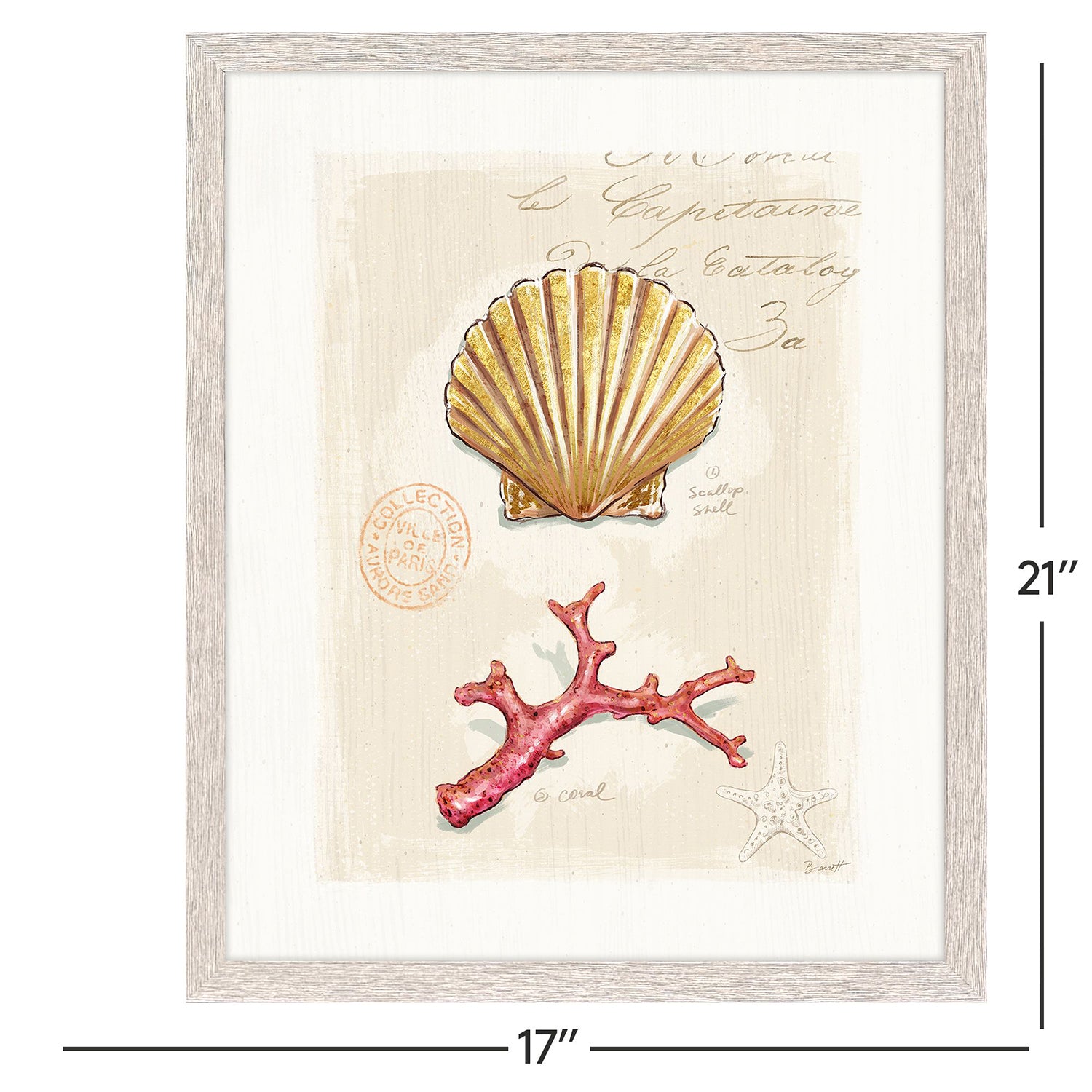 Sarah Lang Coastal Wonder Framed Art Set of 4