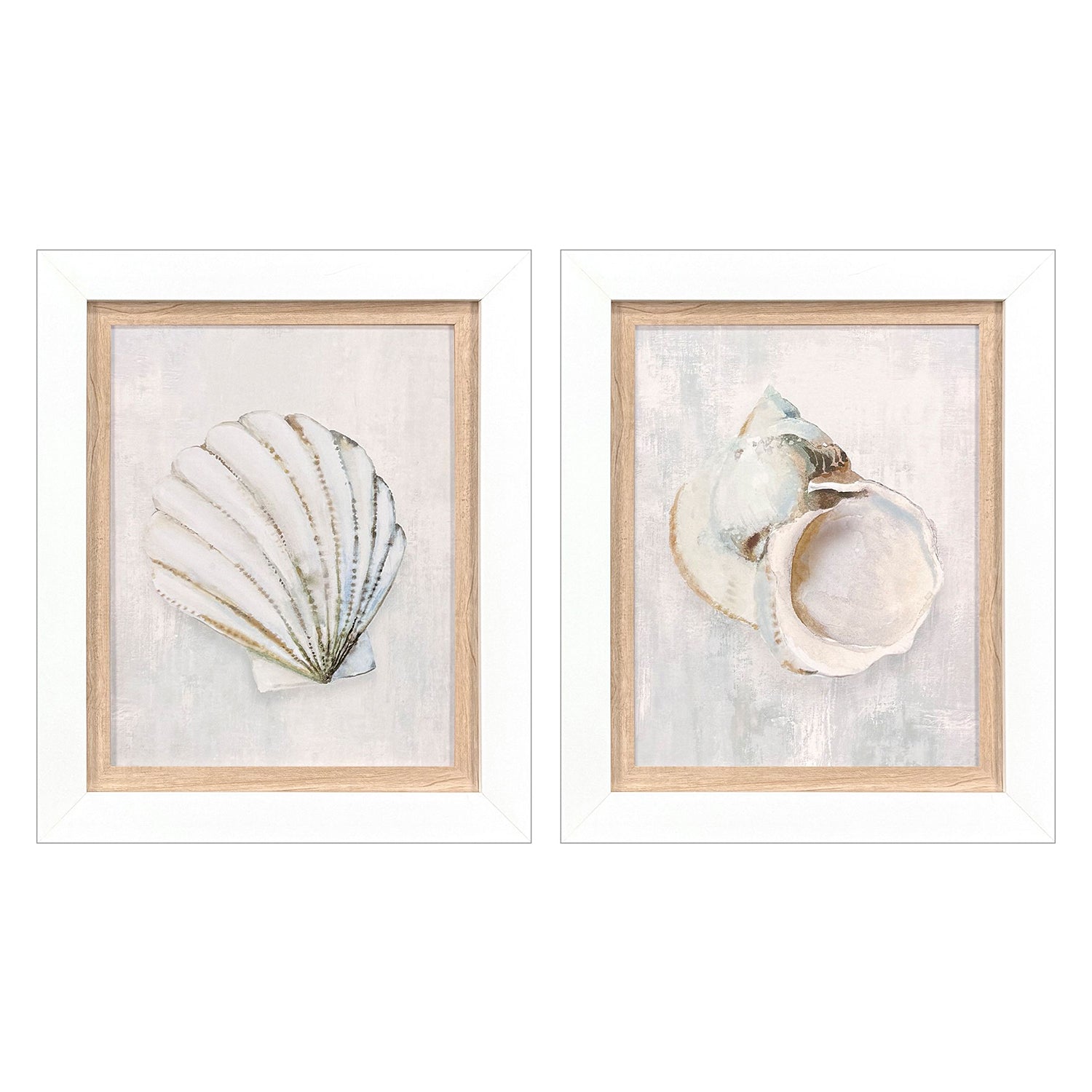 Leeanne Vaughn Serenity Shells I Framed Art Set of 2