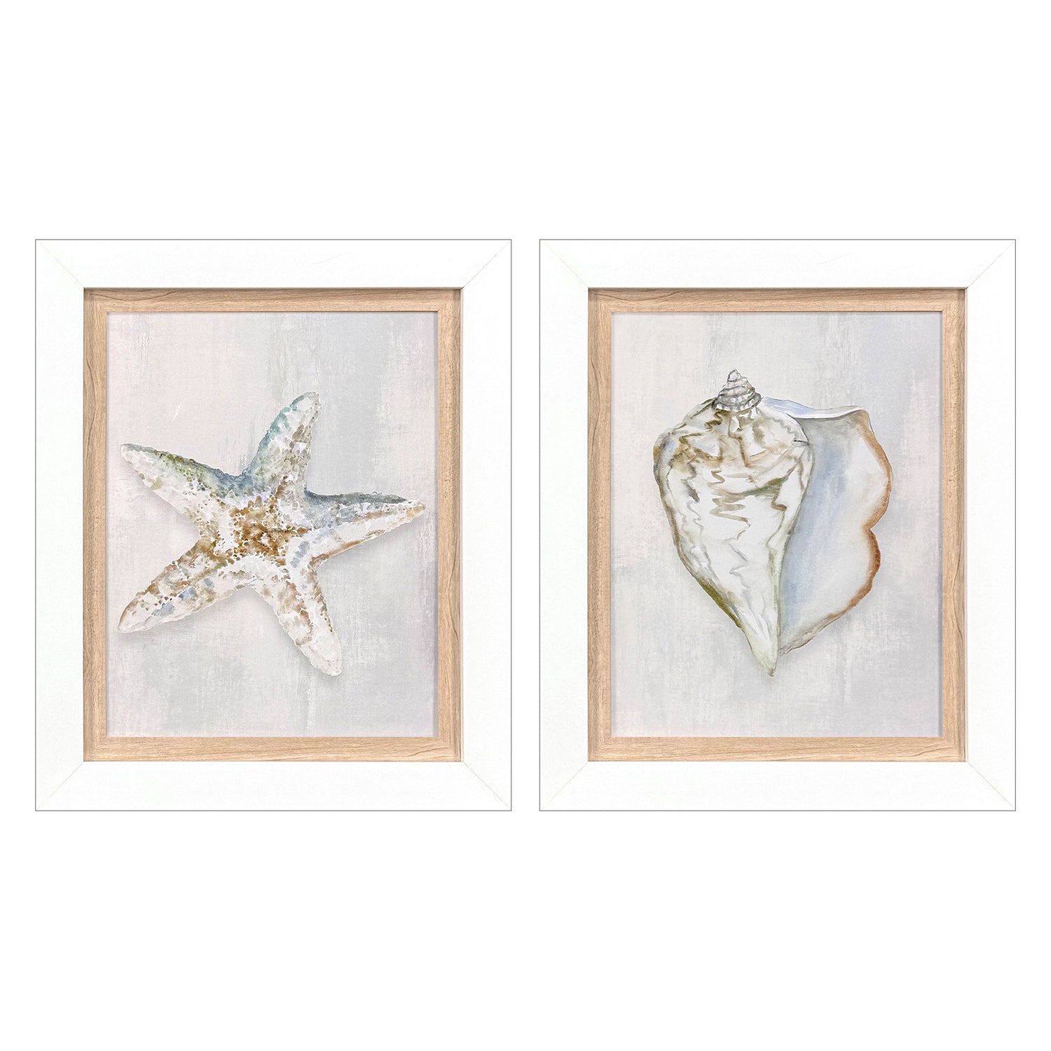 Leeanne Vaughn Serenity Shells II Framed Art Set of 2