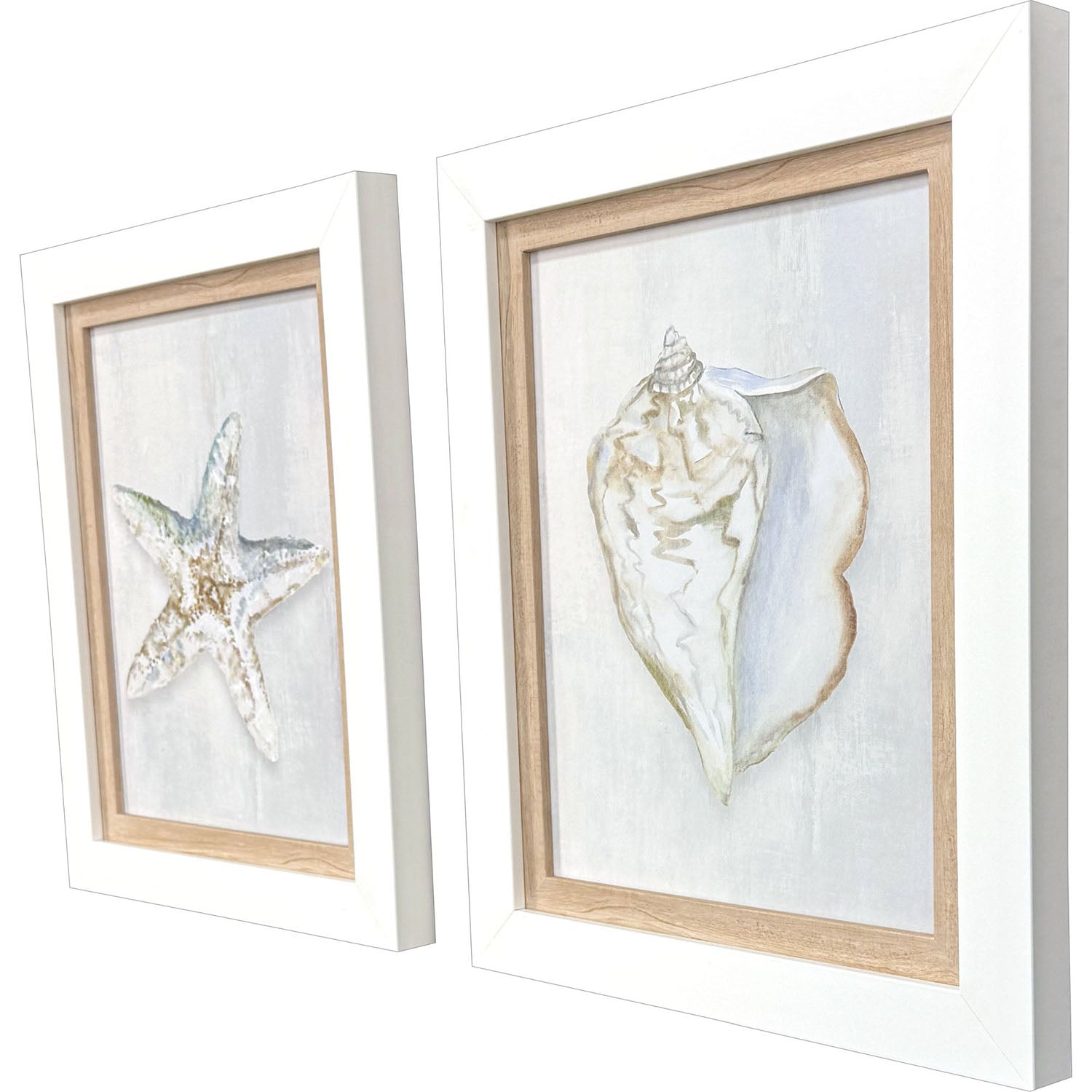 Leeanne Vaughn Serenity Shells II Framed Art Set of 2