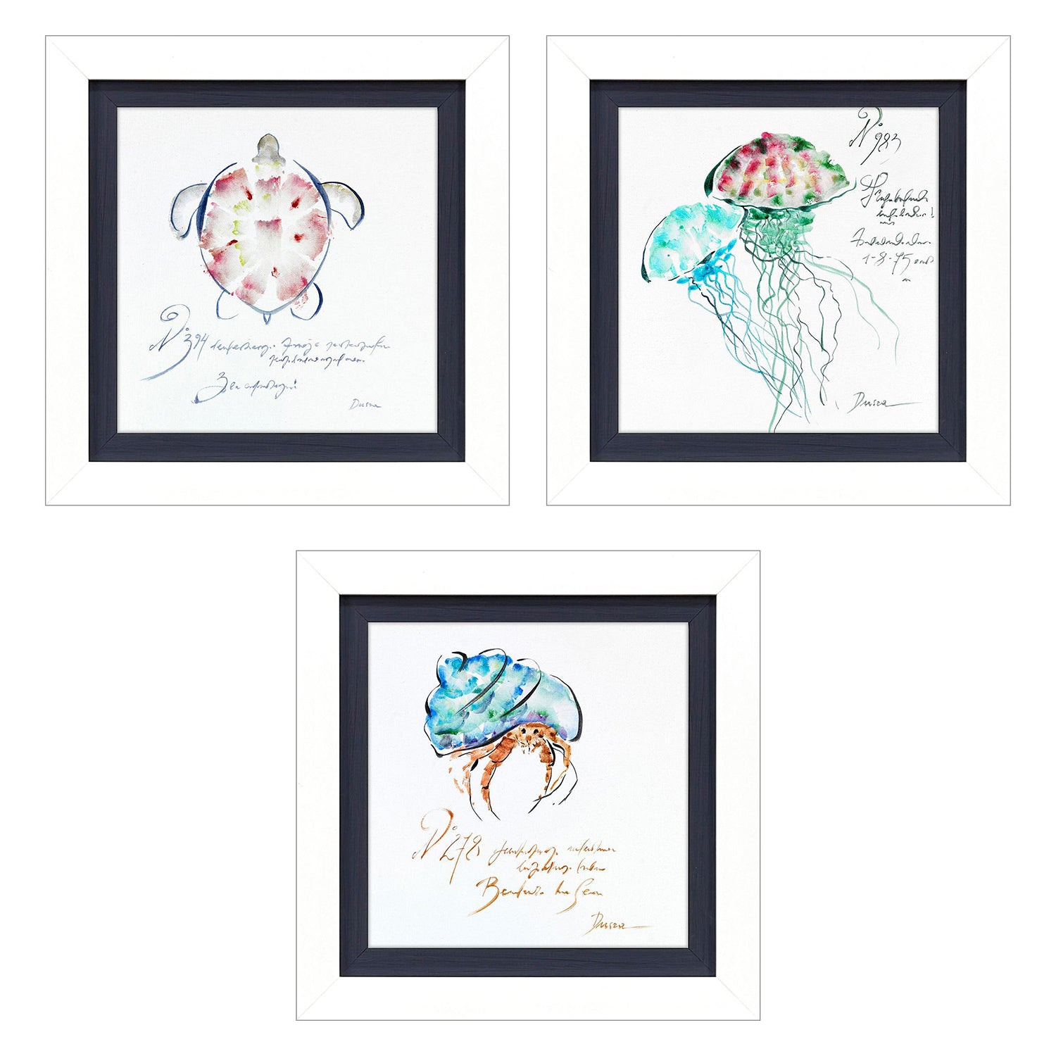 Leeanne Vaughn Sealife Framed Art Set of 3