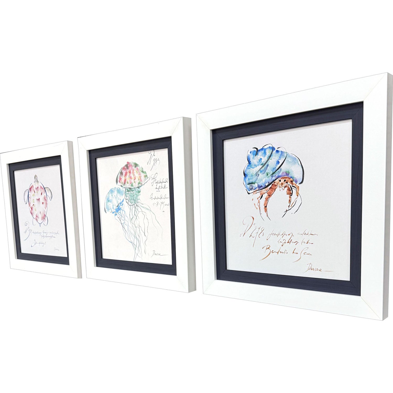 Leeanne Vaughn Sealife Framed Art Set of 3