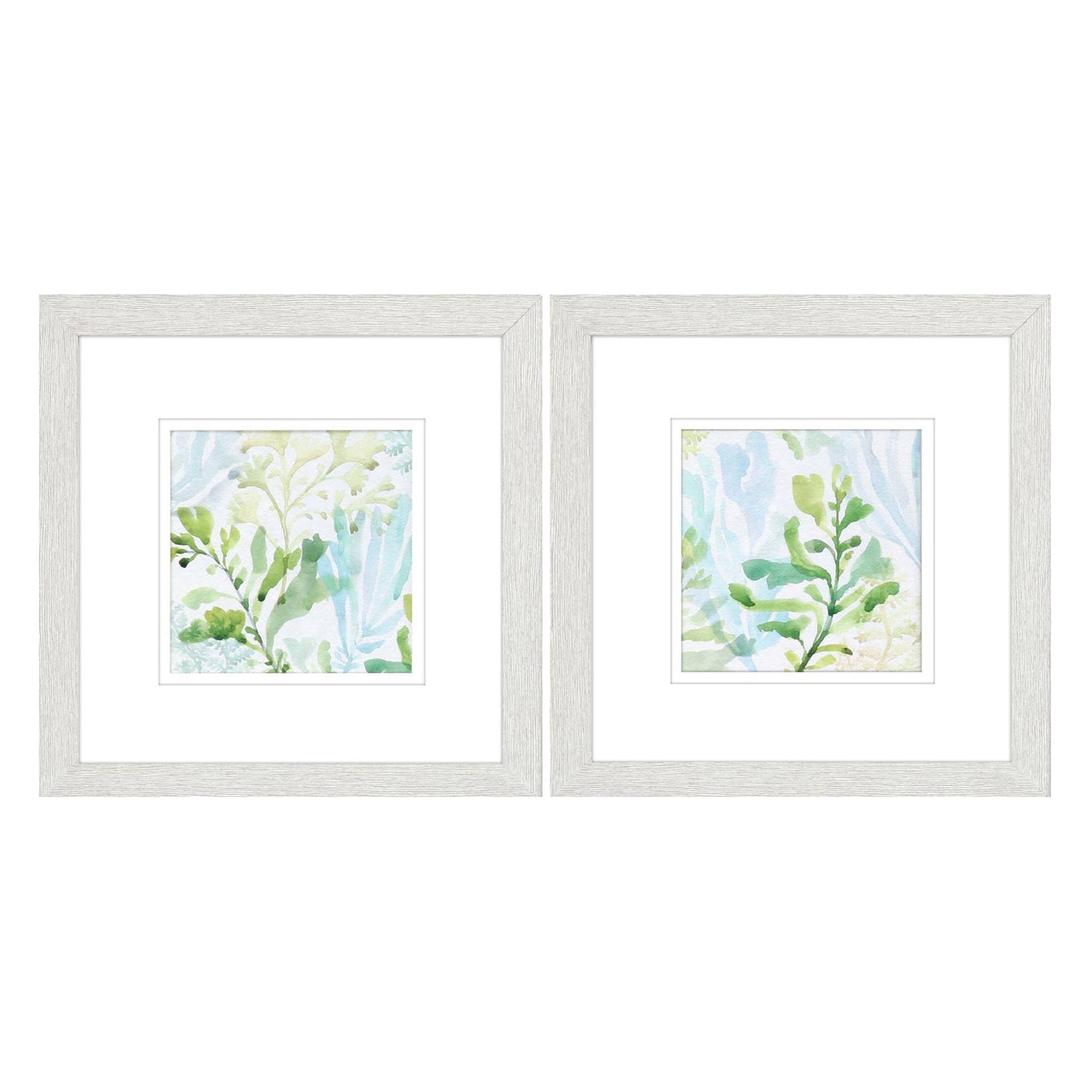 Barnes Seaweed Scramble Framed Art Set of 2