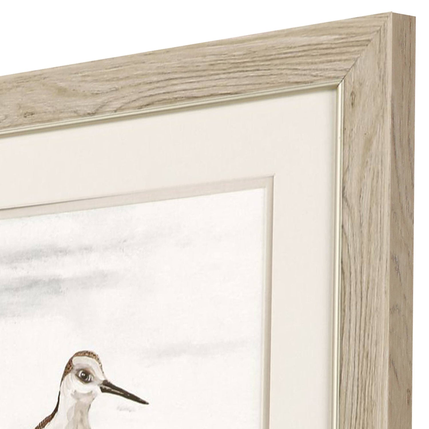 Pinto Stilt Birds on Blue Framed Art Set of 2