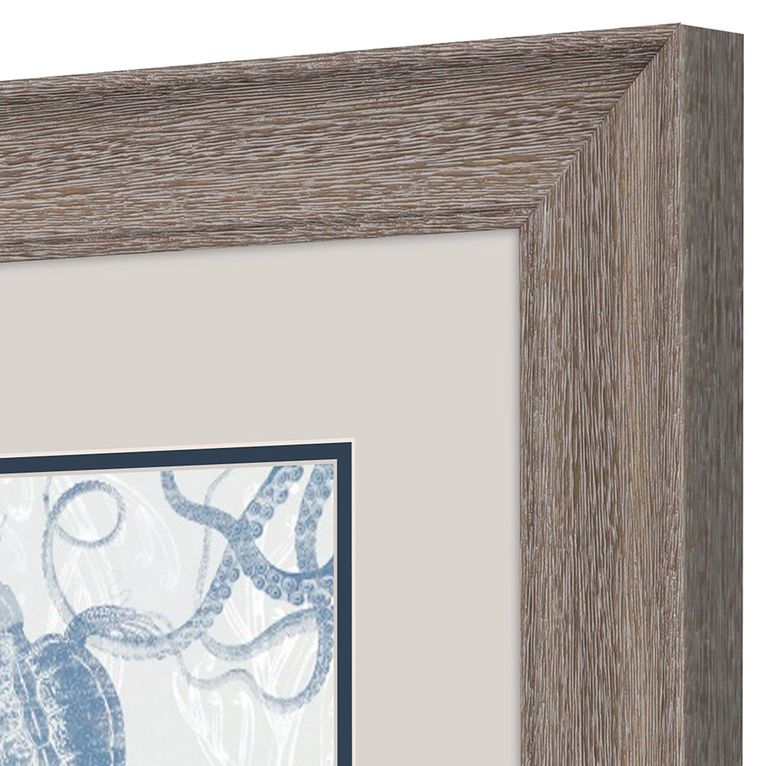 Barnes Seabed Scene A Framed Art Set of 2