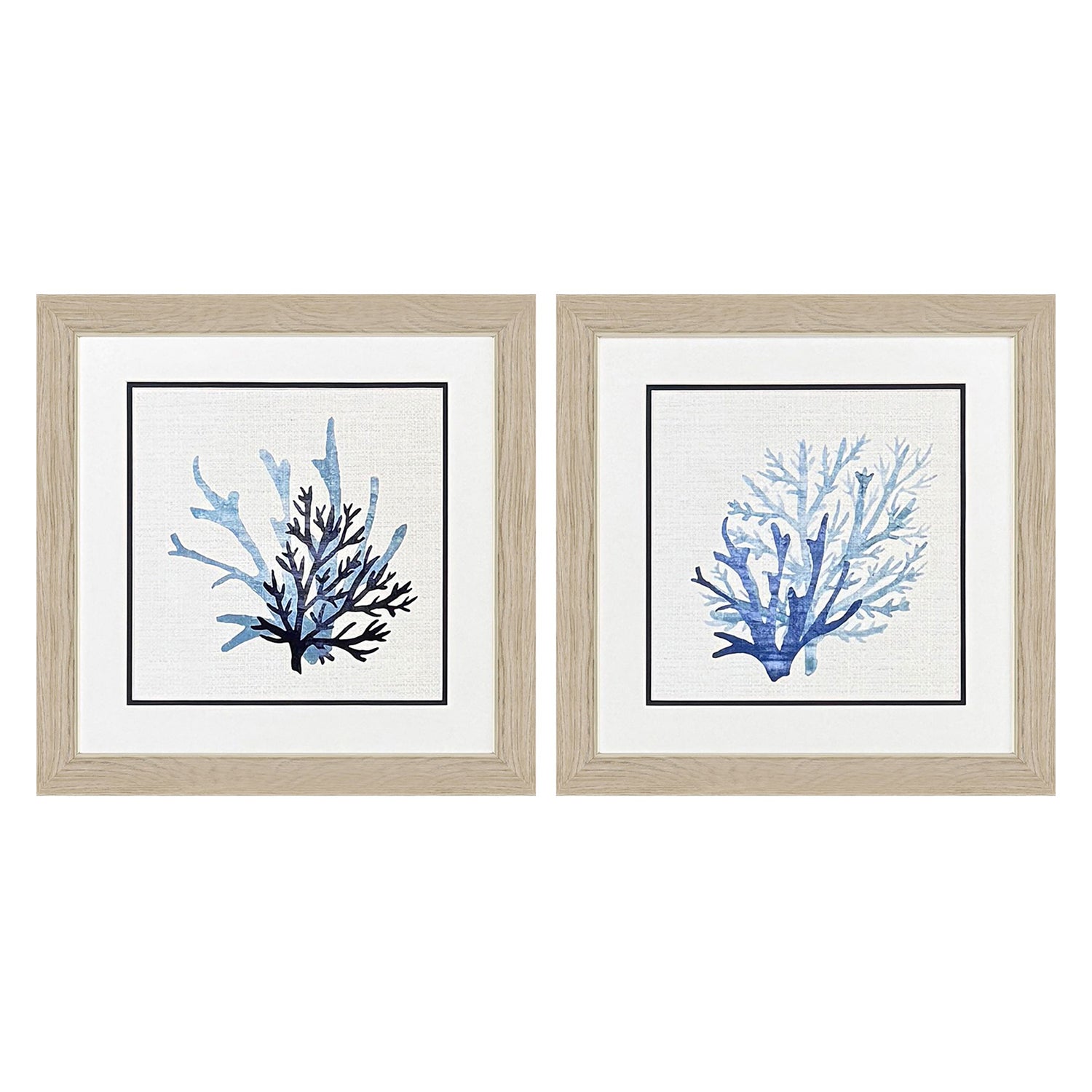 Allen Coral Shades Framed Artwork Set of 2