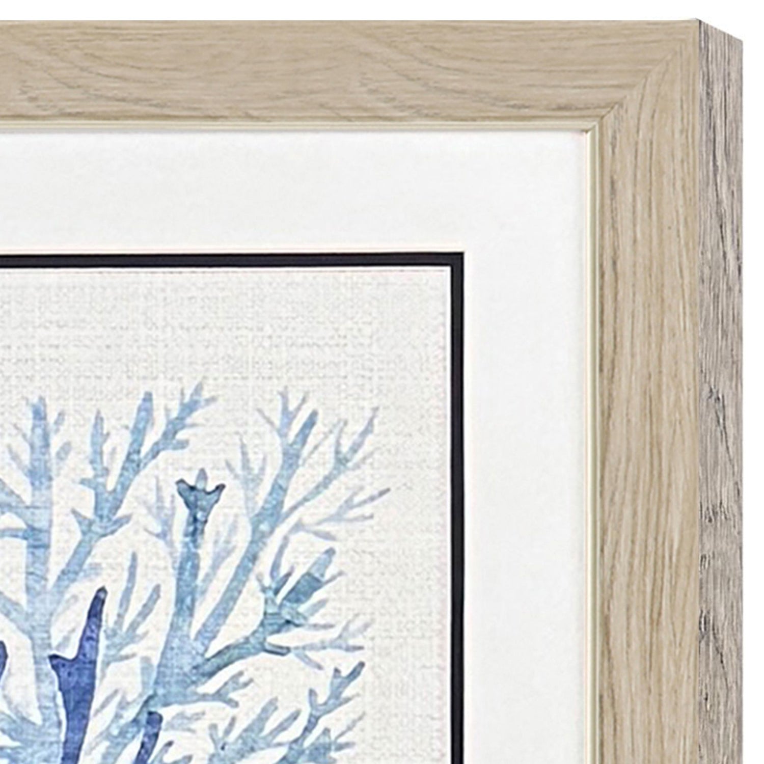 Allen Coral Shades Framed Artwork Set of 2
