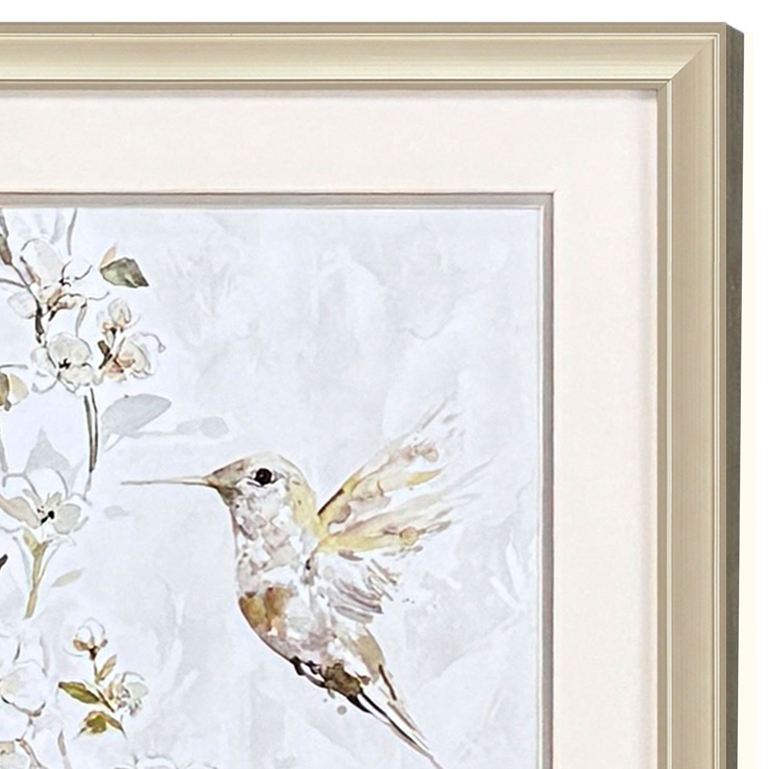 Robinson Hummingbird Song Framed Artwork Set of 2