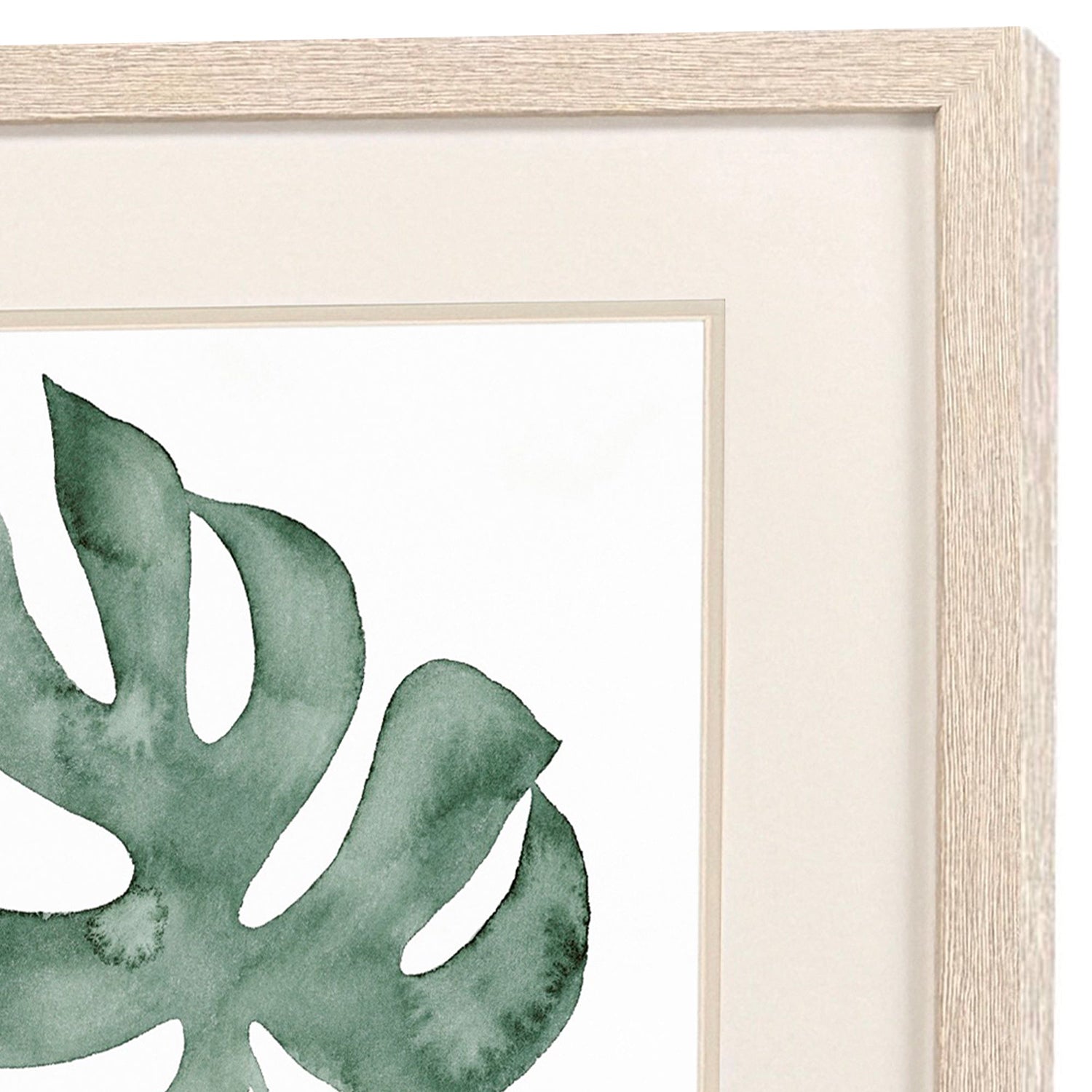 Popp Plant Press Framed Artwork Set of 2