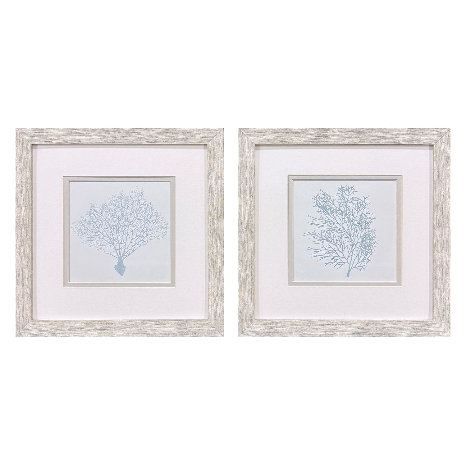 Nan Soft Coral Framed Artwork Set of 2