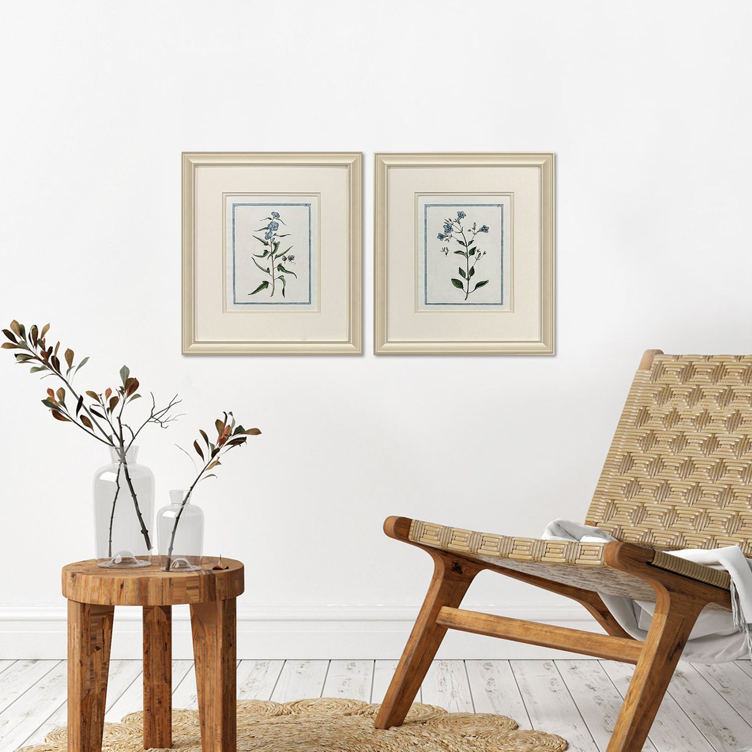 Donovan Shabby Chic Botanical Framed Artwork Set of 2