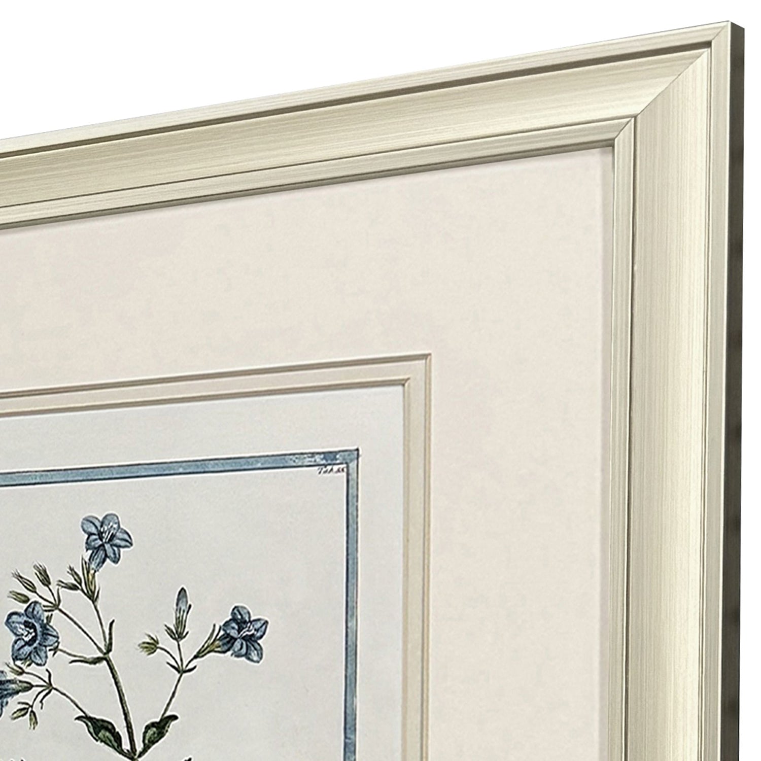 Donovan Shabby Chic Botanical Framed Artwork Set of 2