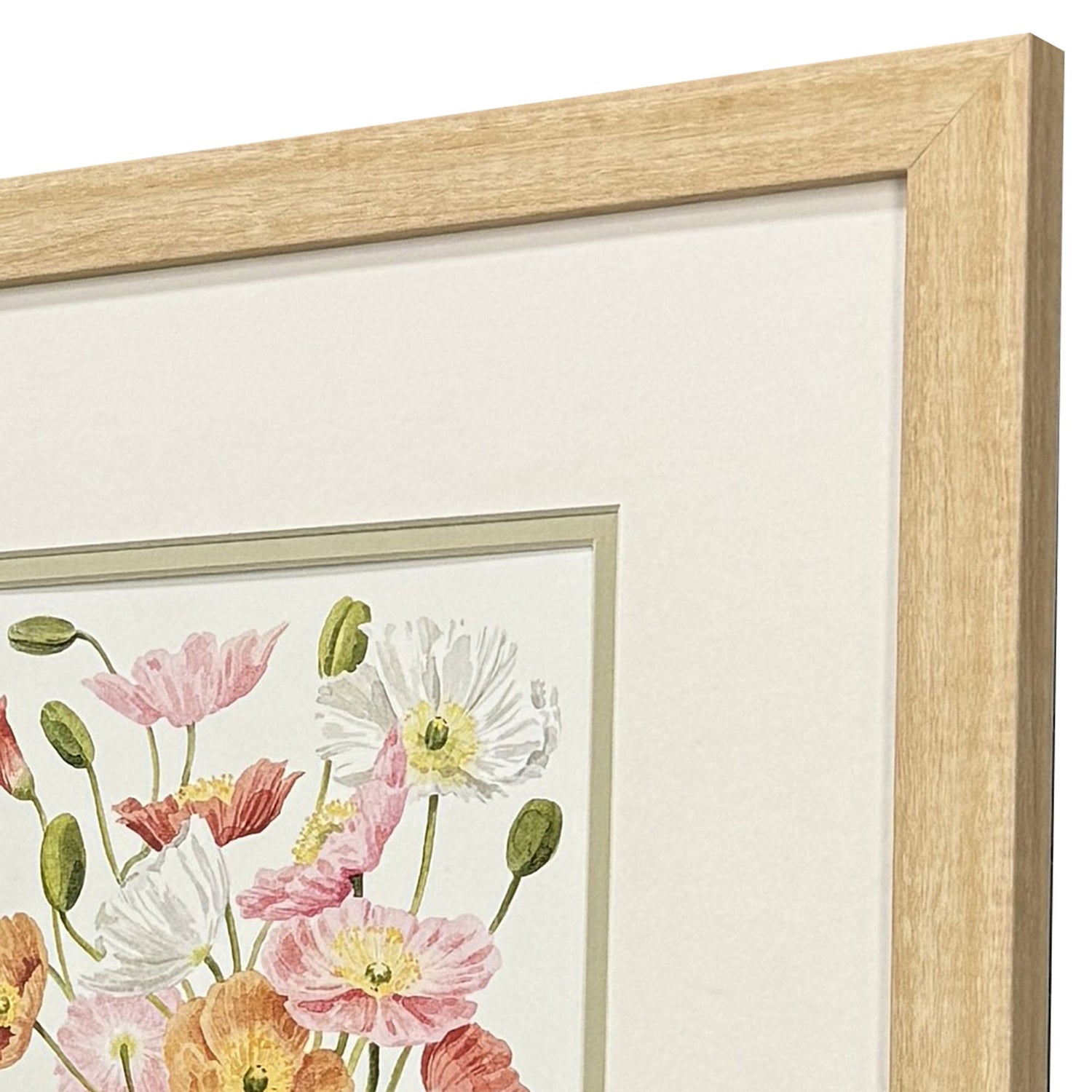 Popp Wiry Poppies Framed Artwork Set of 2