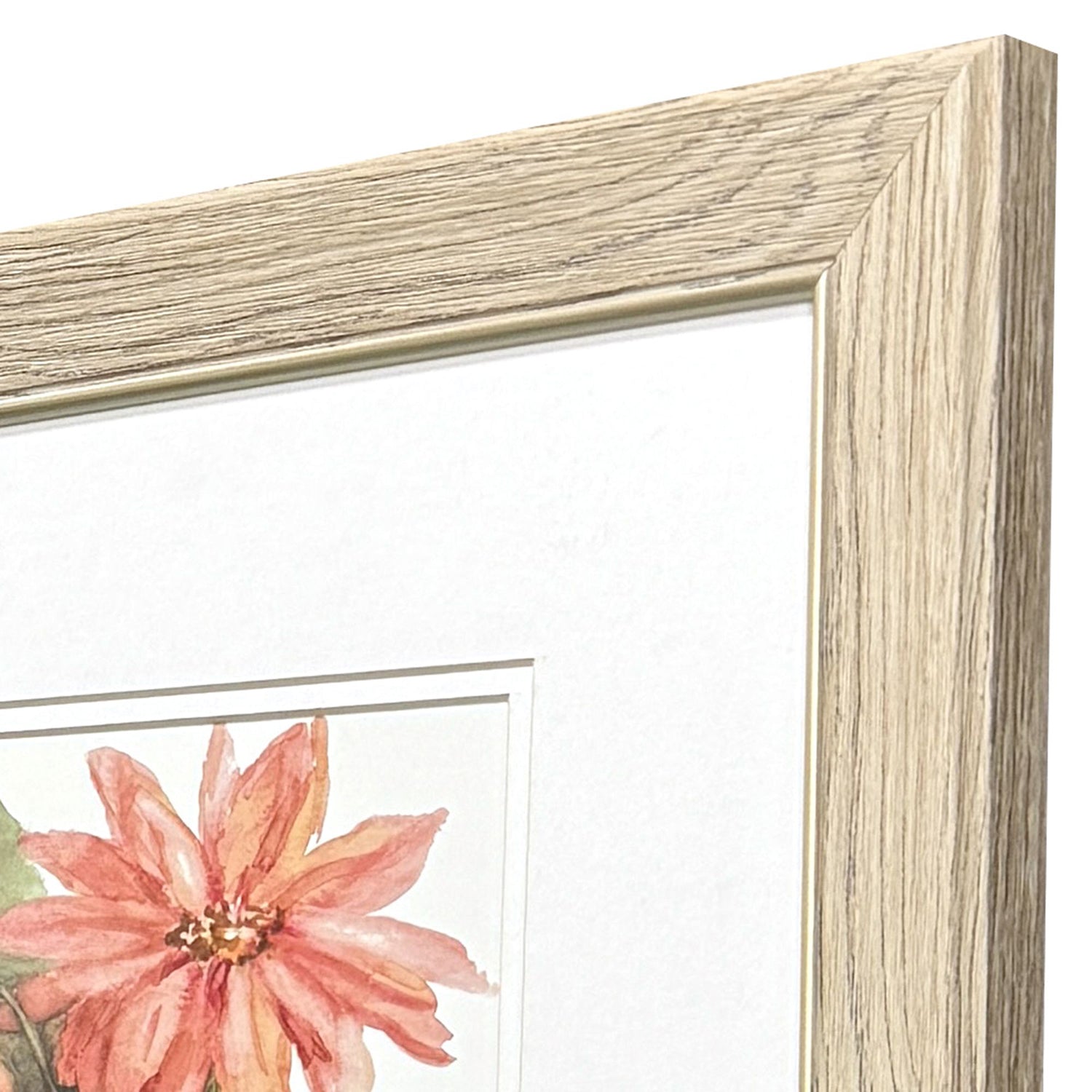 Loreth Just Peachy Framed Artwork Set of 2