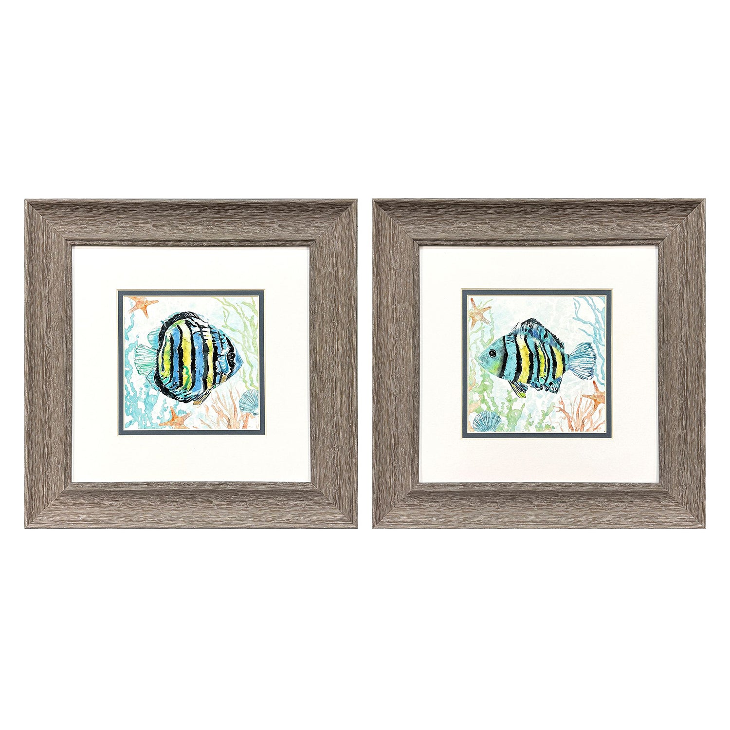 Robinson Striped Tropical Fish Framed Artwork Set of 2