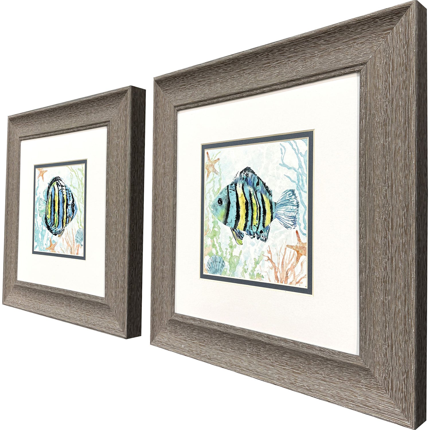 Robinson Striped Tropical Fish Framed Artwork Set of 2