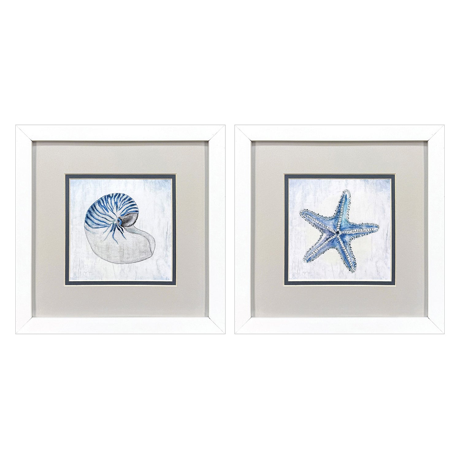 Tava Azure Shell Framed Artwork Set of 2