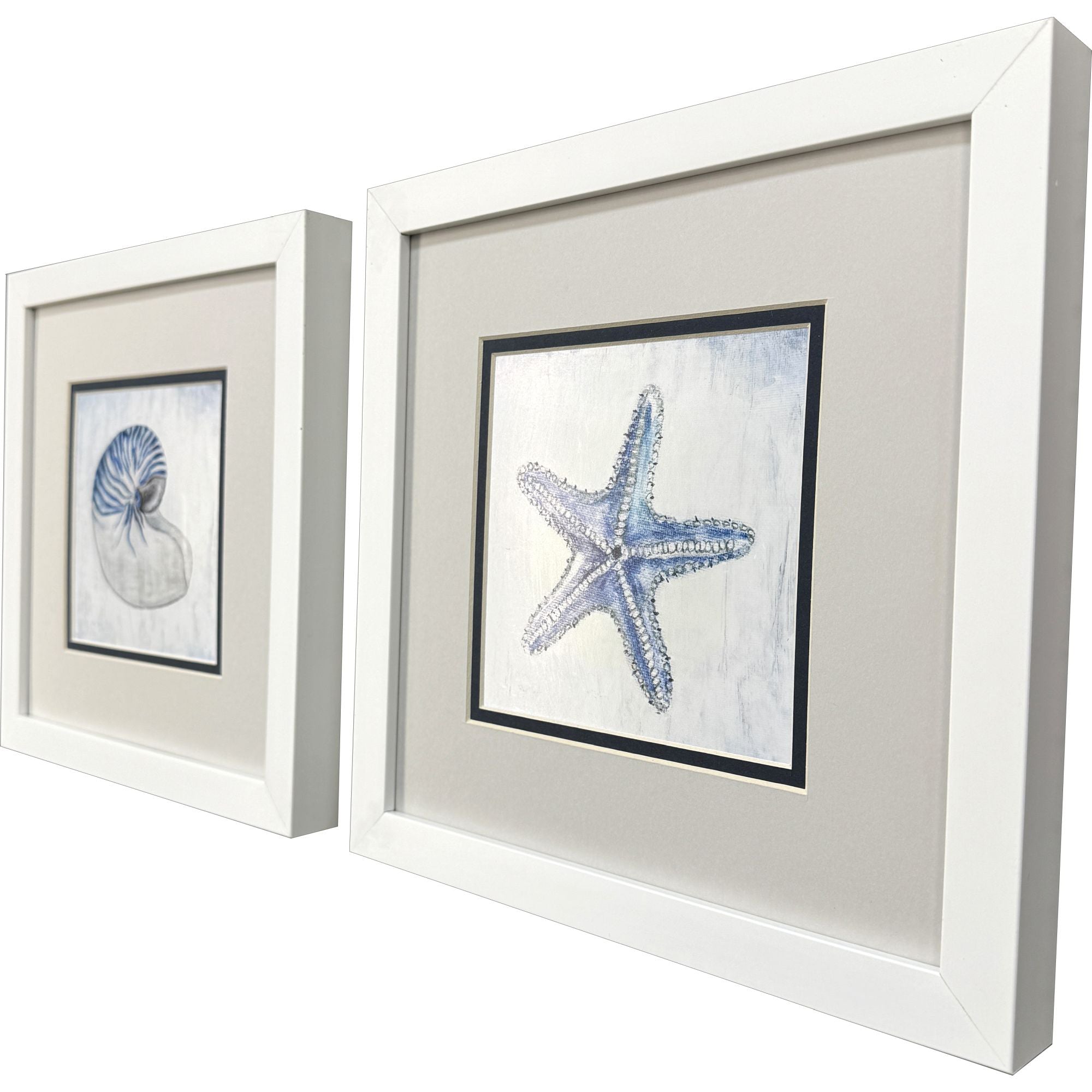 Tava Azure Shell Framed Artwork Set of 2