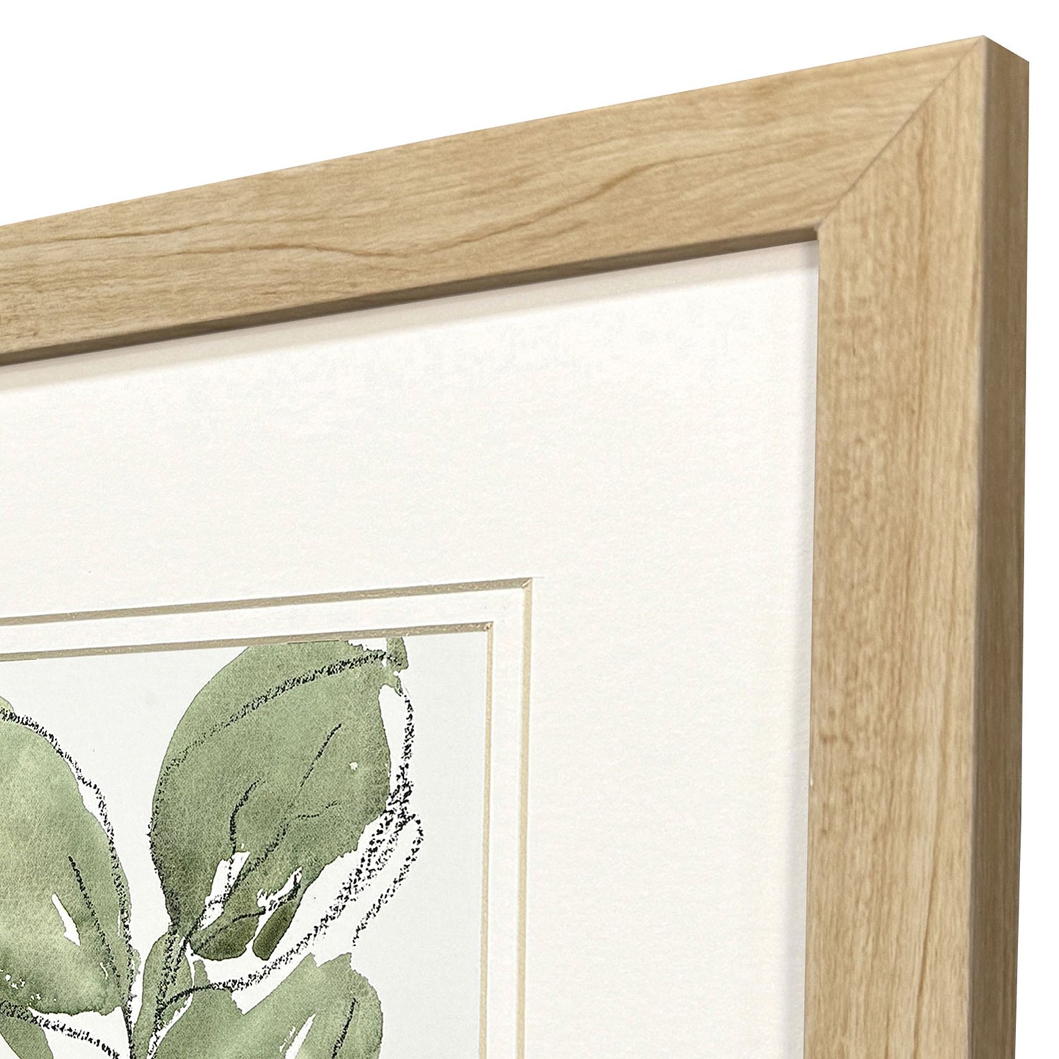 Price Summer Leaves Framed Artwork Set of 2