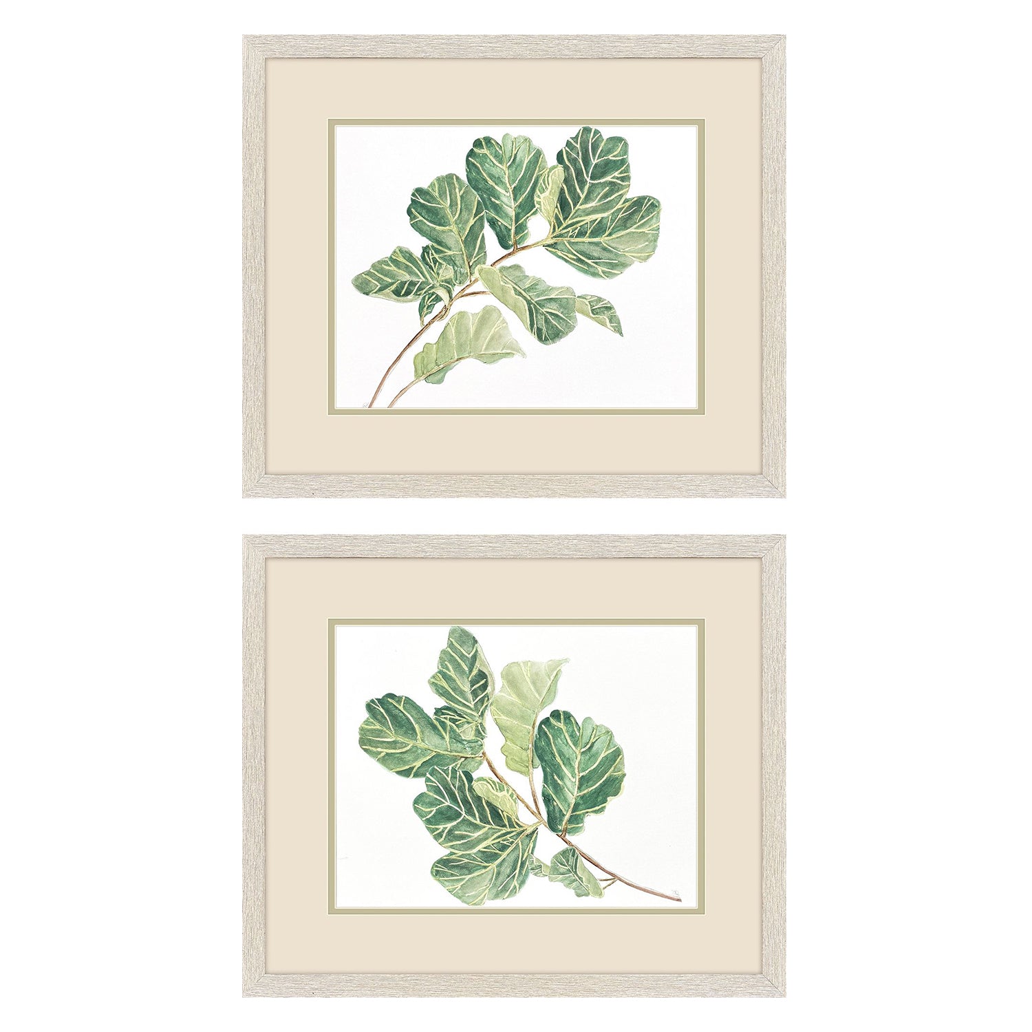 Pinto Fiddle Fig Leaf Framed Artwork Set of 2