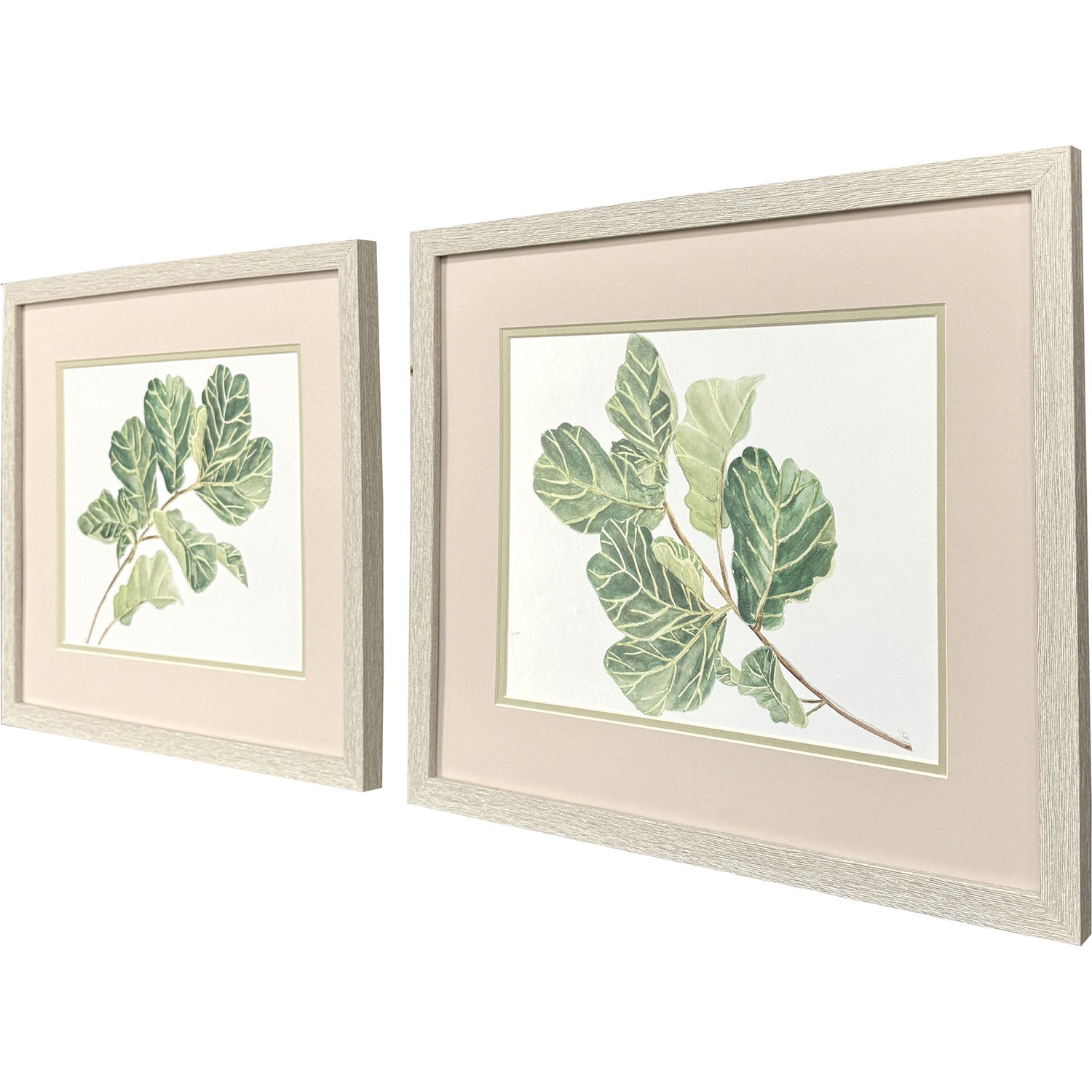 Pinto Fiddle Fig Leaf Framed Artwork Set of 2