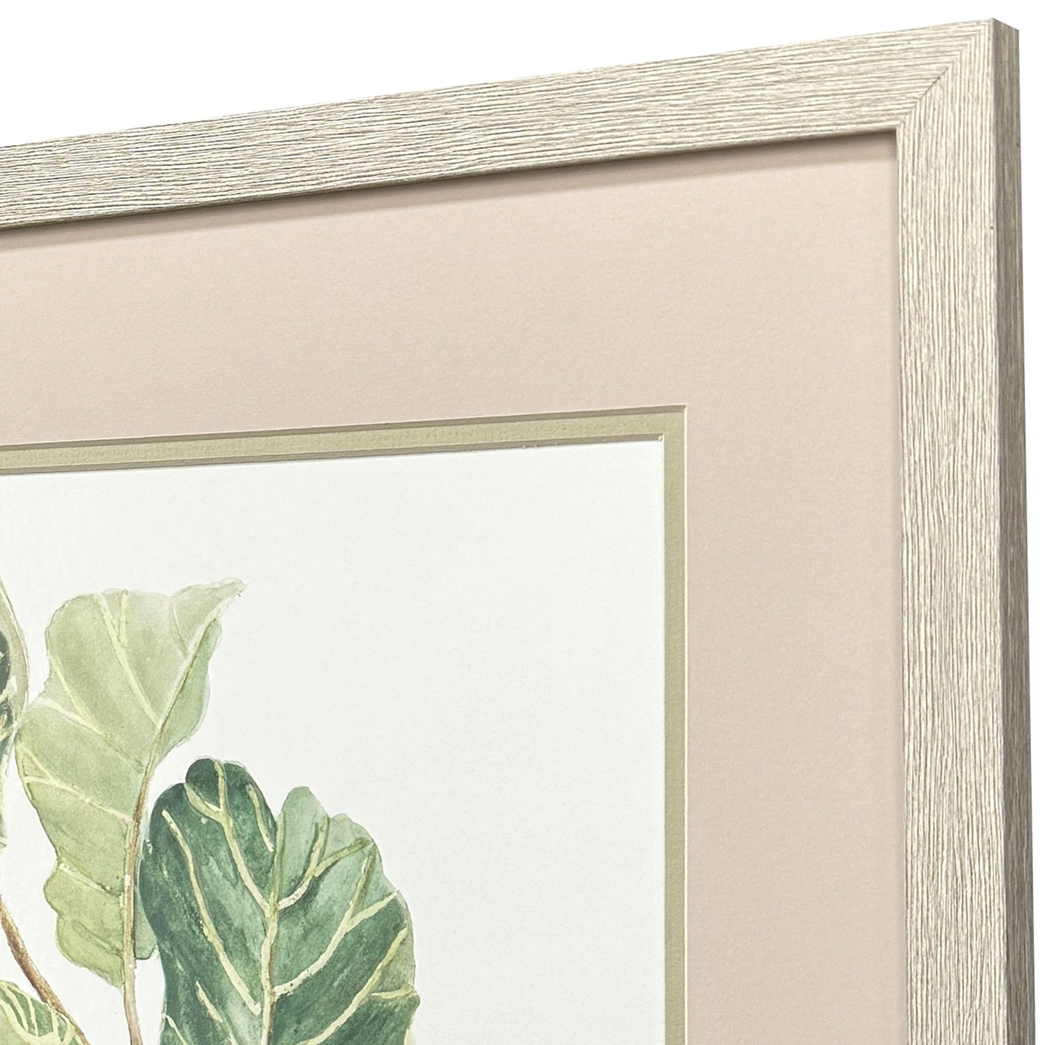 Pinto Fiddle Fig Leaf Framed Artwork Set of 2