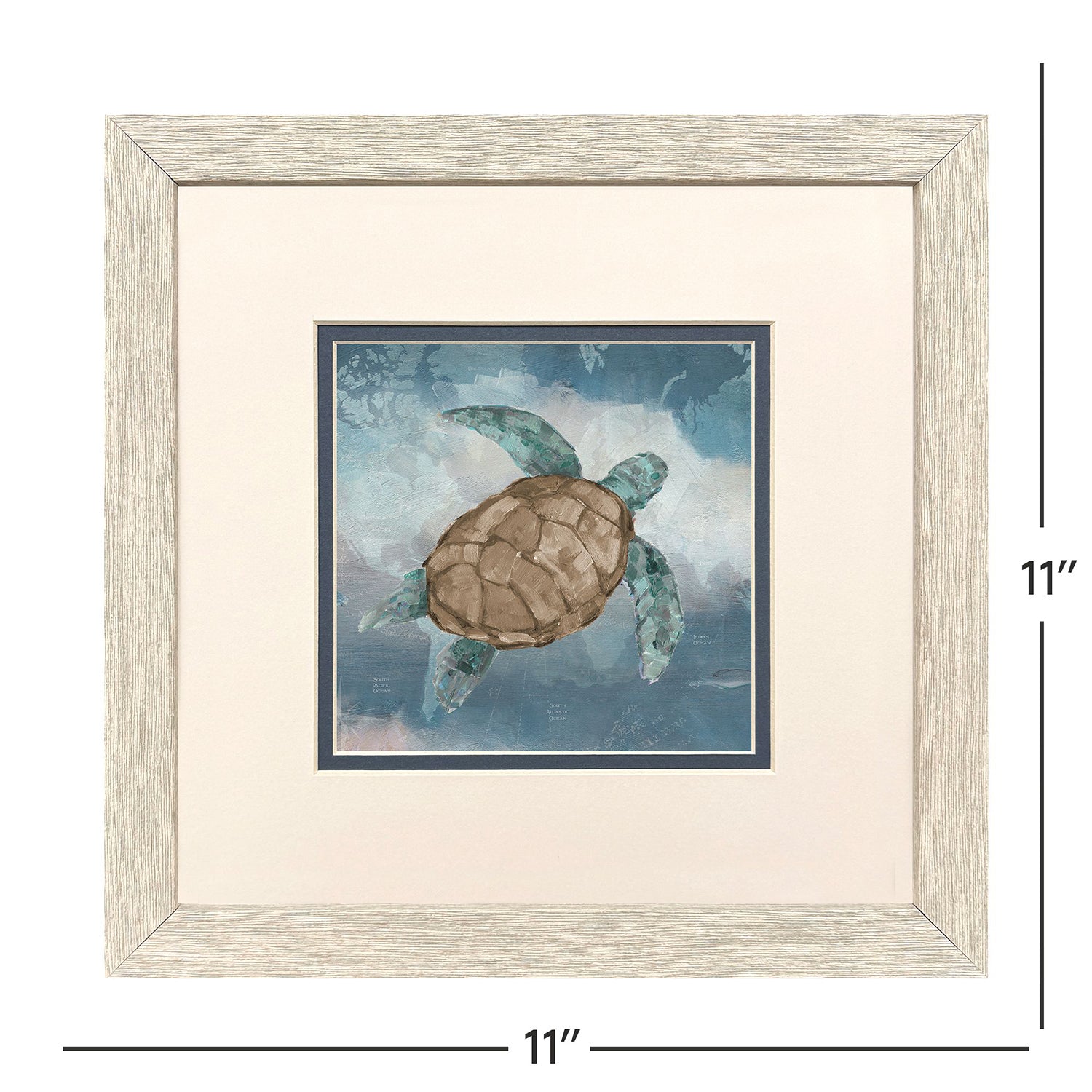Sarah Lang Traveling Turtle Framed Art Set of 2
