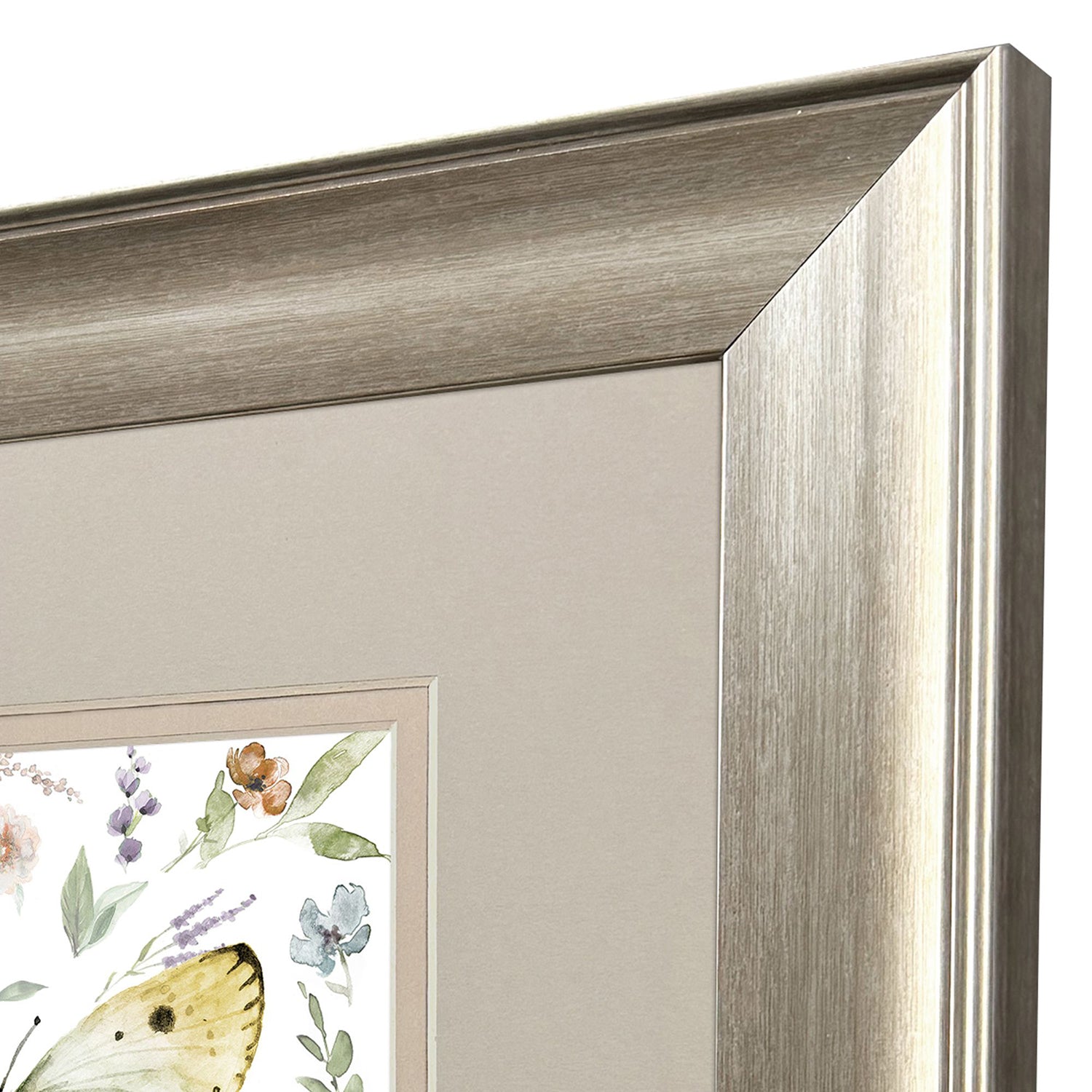 Sarah Lang Organic Nature Framed Art Set of 2