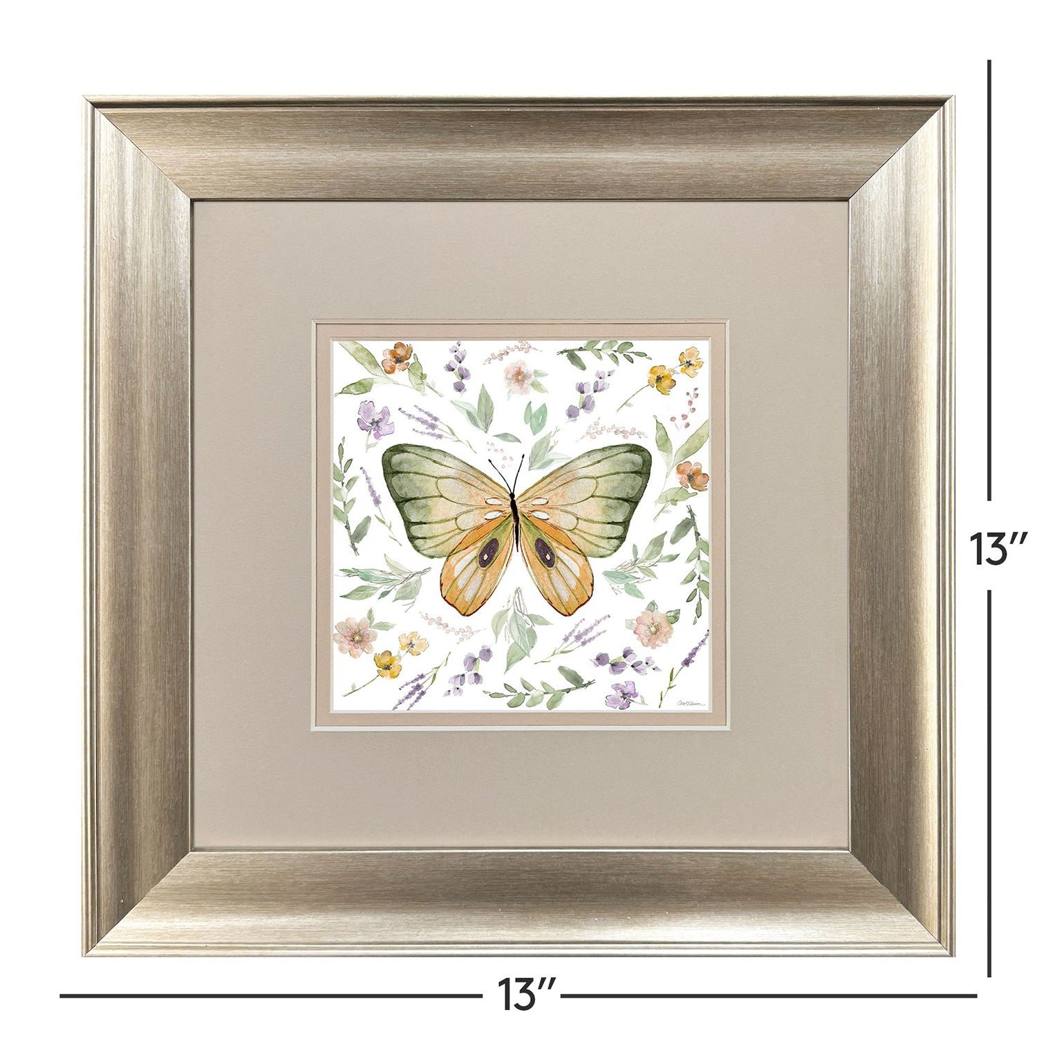 Sarah Lang Organic Nature Framed Art Set of 2