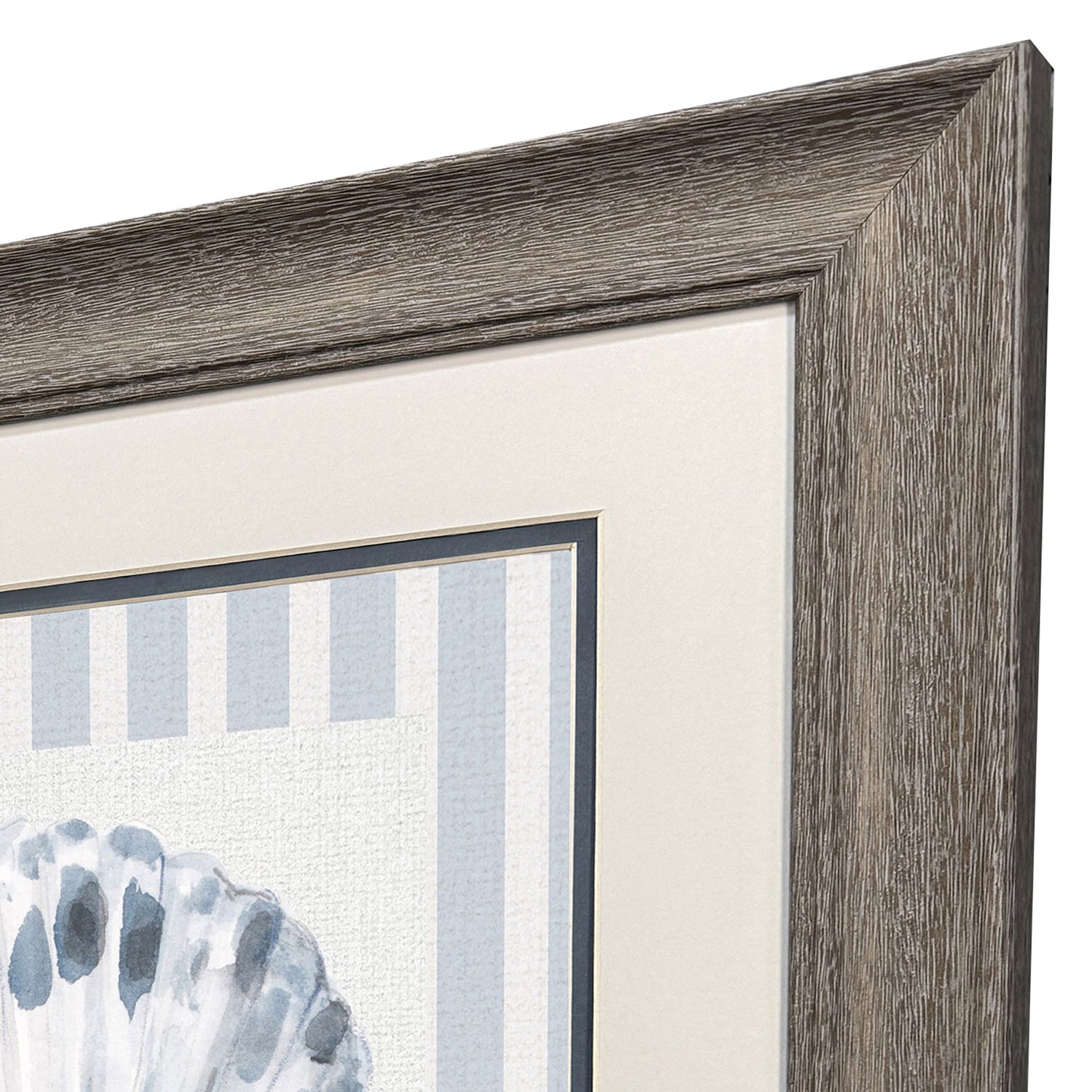 Leeanne Vaughn Ocean Finds I Framed Art Set of 2