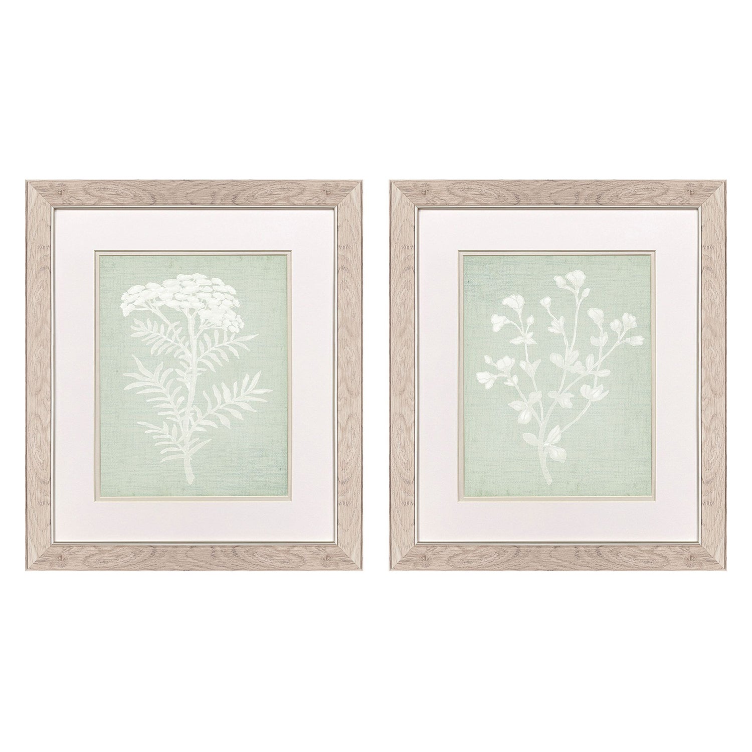 Jordan Glassco-Smith Herb Framed Art Set of 2