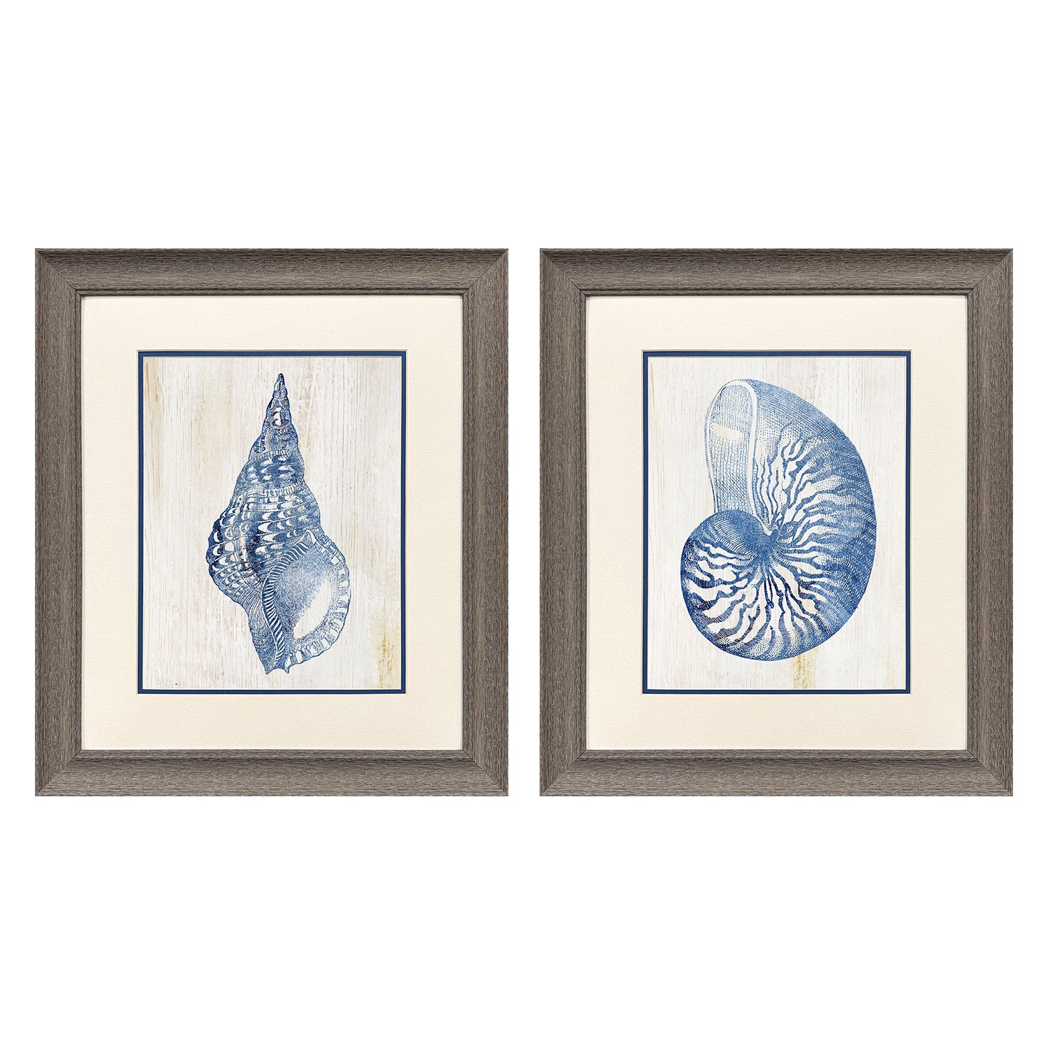 Leeanne Vaughn Ocean Echoes II Framed Art Set of 2