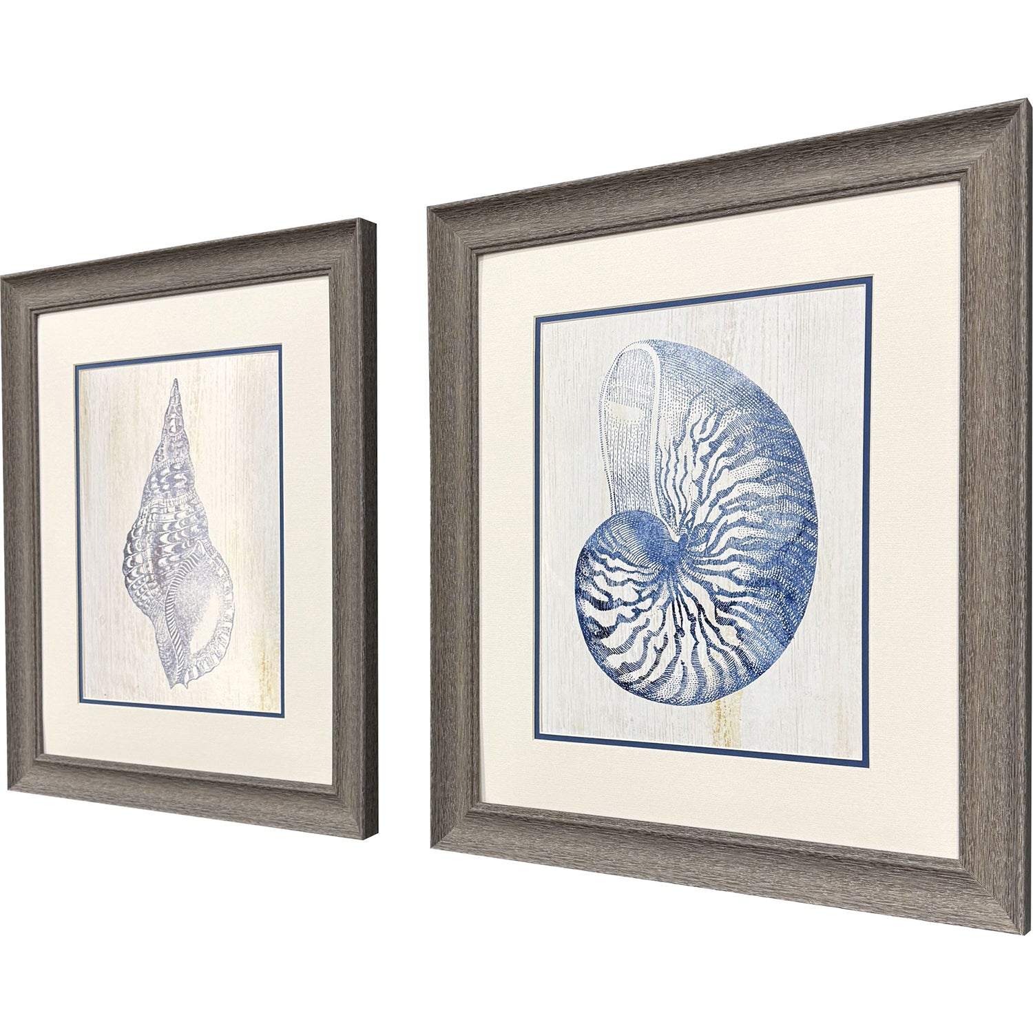 Leeanne Vaughn Ocean Echoes II Framed Art Set of 2