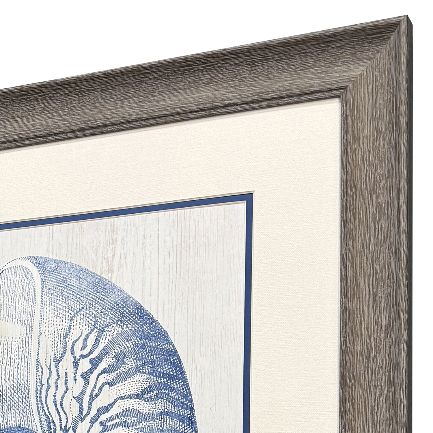 Leeanne Vaughn Ocean Echoes II Framed Art Set of 2