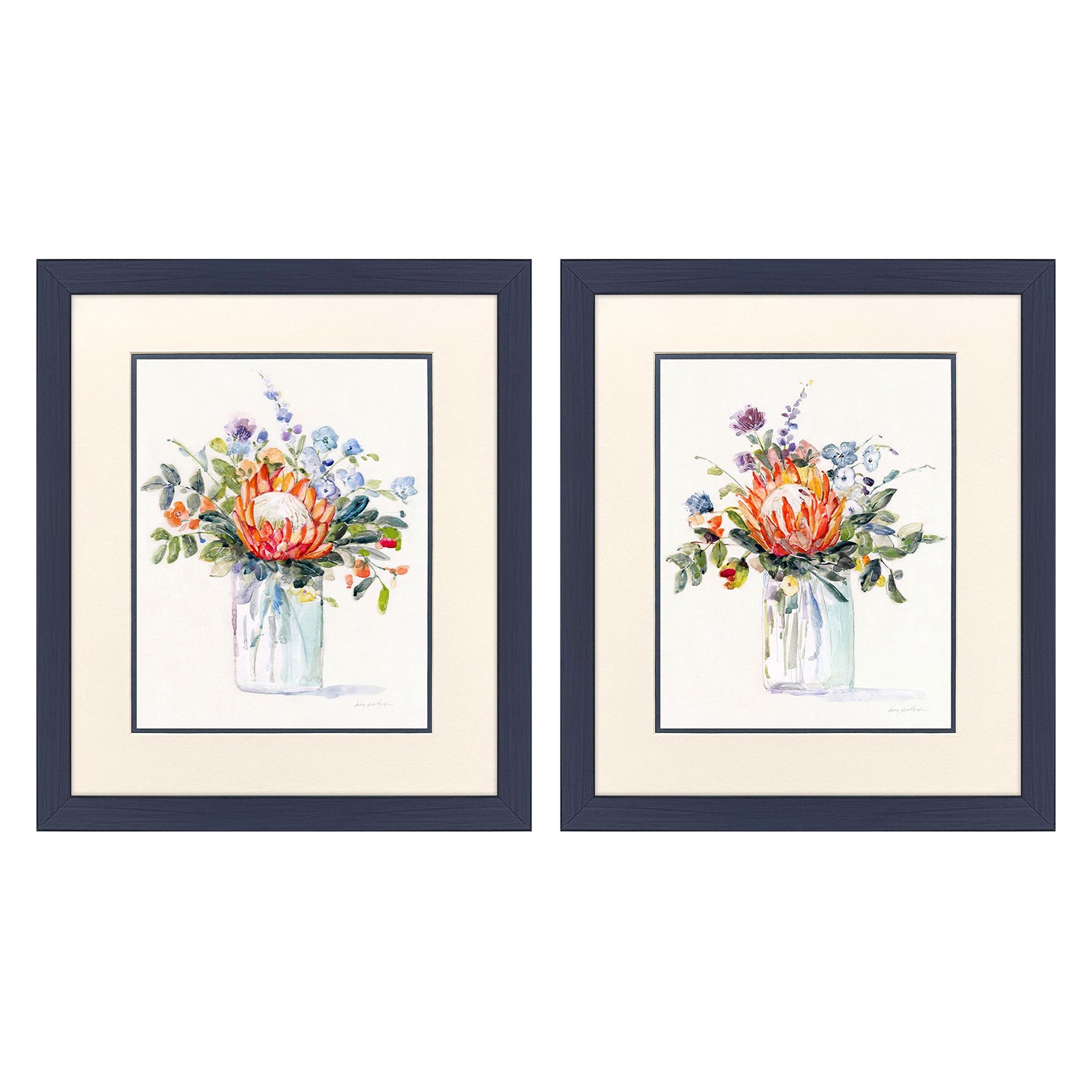 Malanta Knowles Pretty Protea Framed Art Set of 2