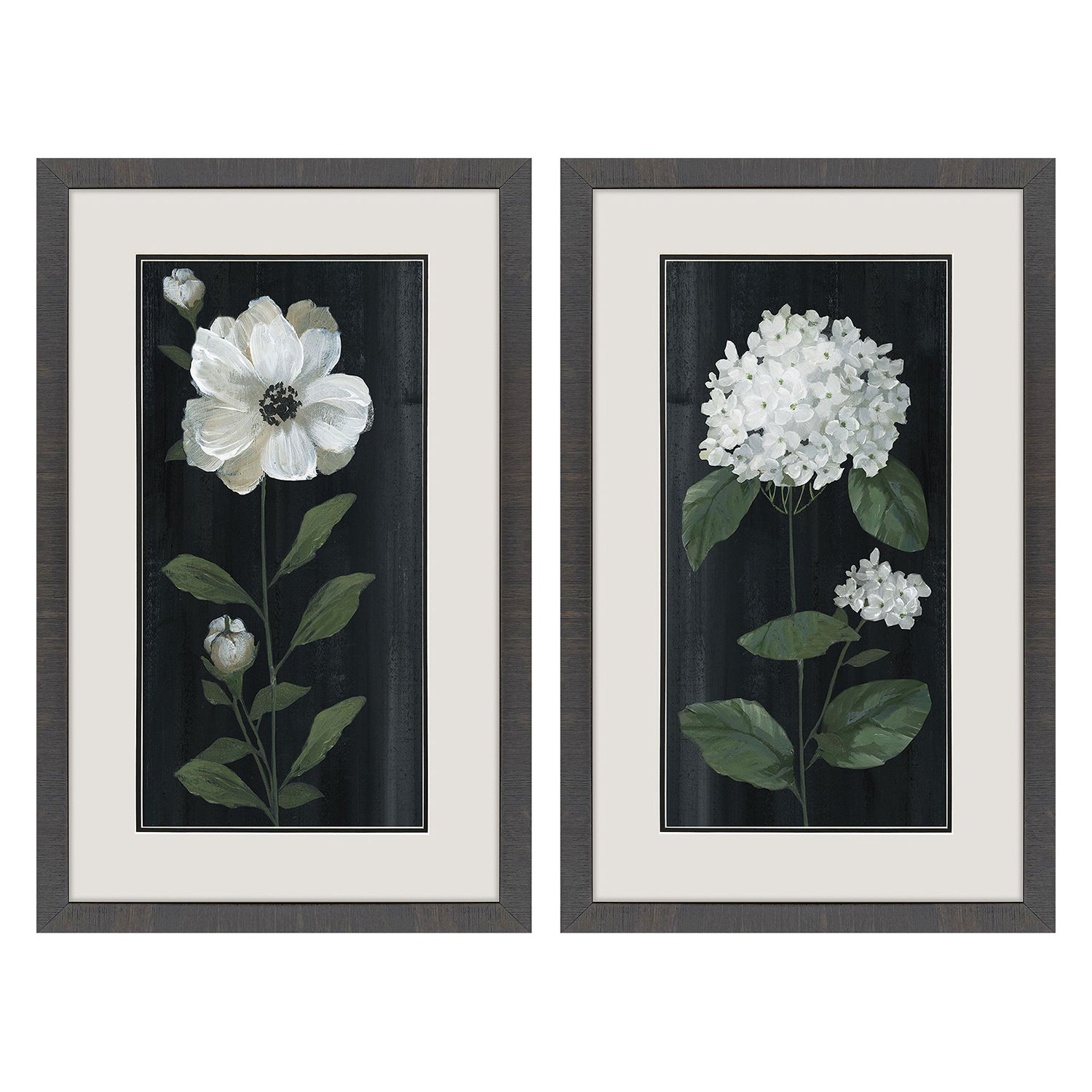 Malanta Knowles White Buds Framed Art Set of 2