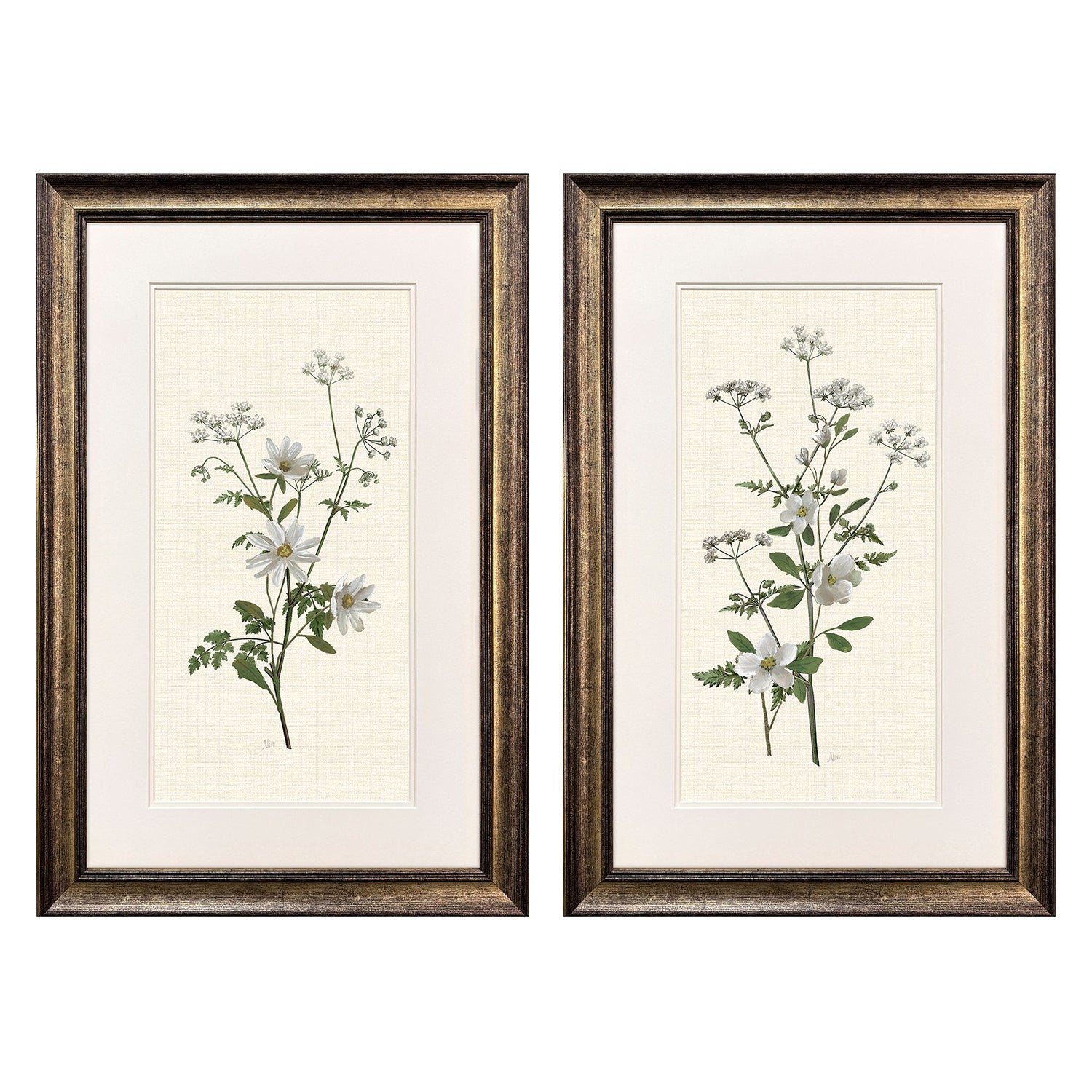 Malanta Knowles Botanical Whites Framed Art Set of 2