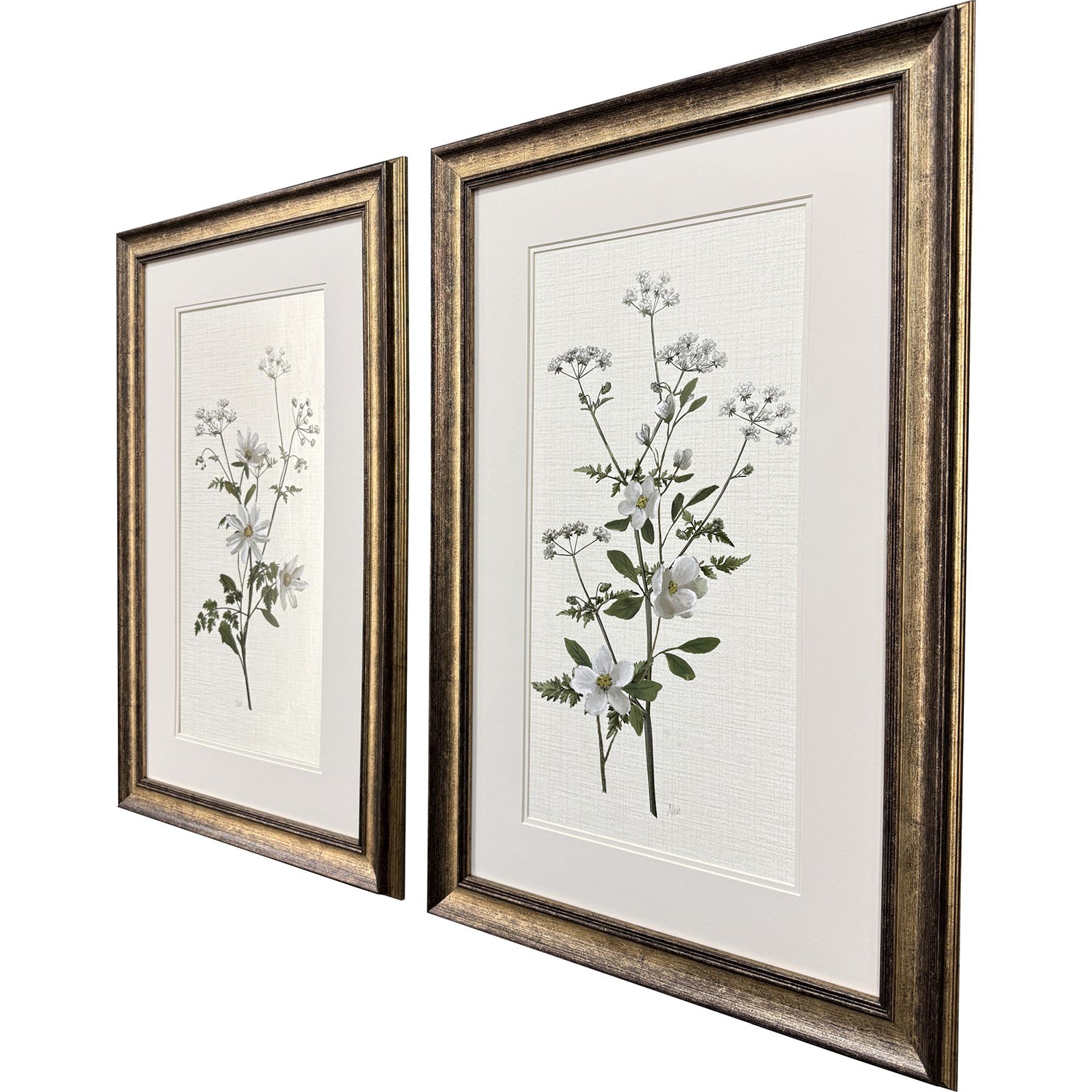 Malanta Knowles Botanical Whites Framed Art Set of 2