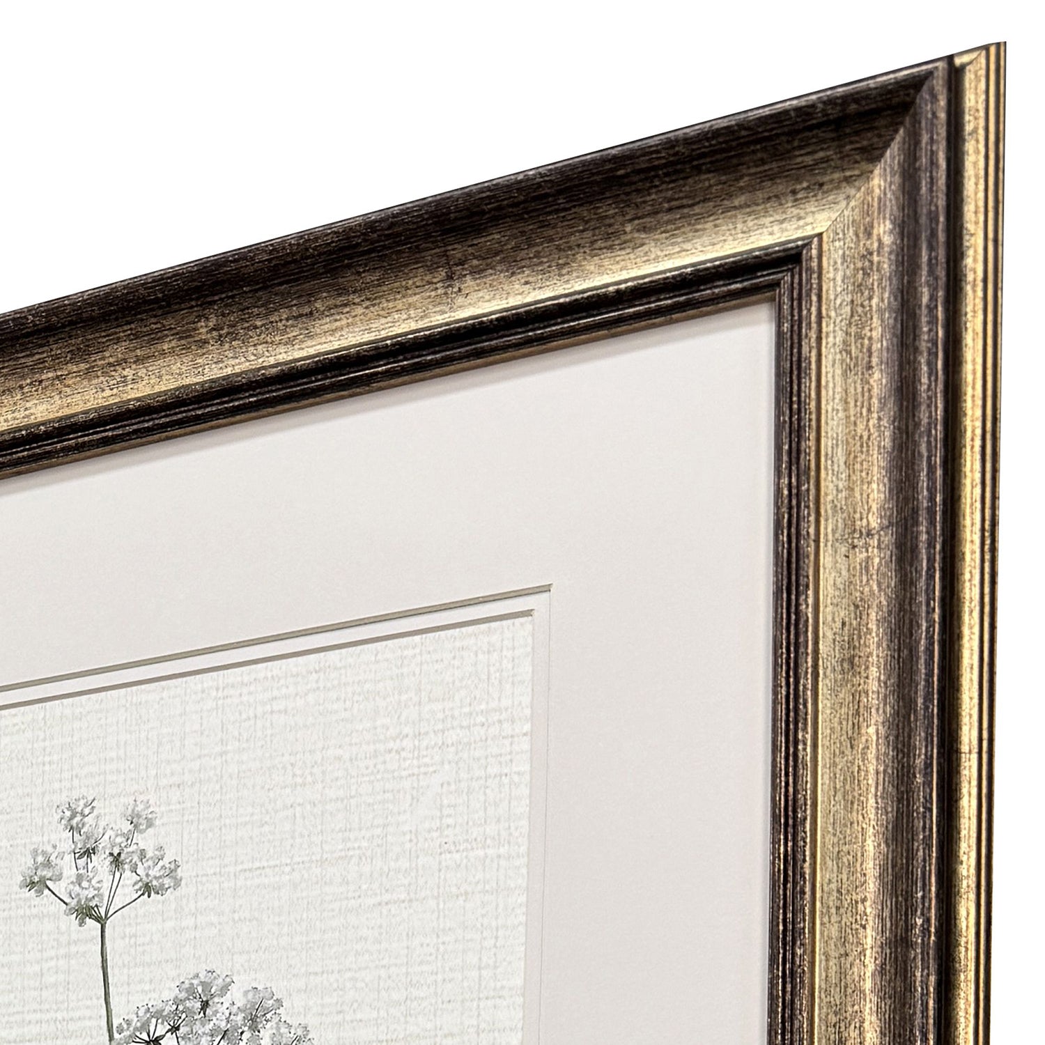 Malanta Knowles Botanical Whites Framed Art Set of 2