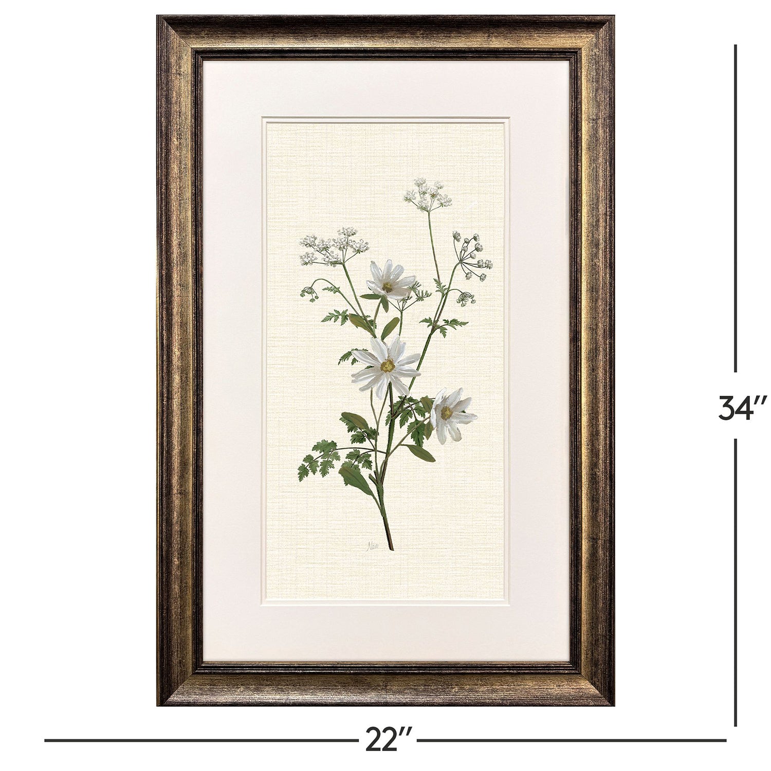 Malanta Knowles Botanical Whites Framed Art Set of 2