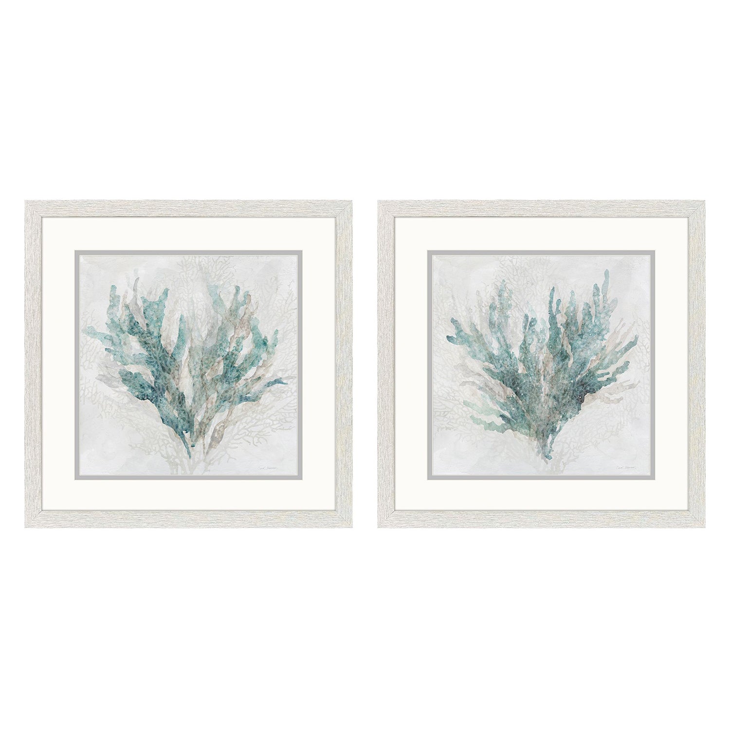 Jordan Glassco-Smith Coral Splash Framed Art Set of 2