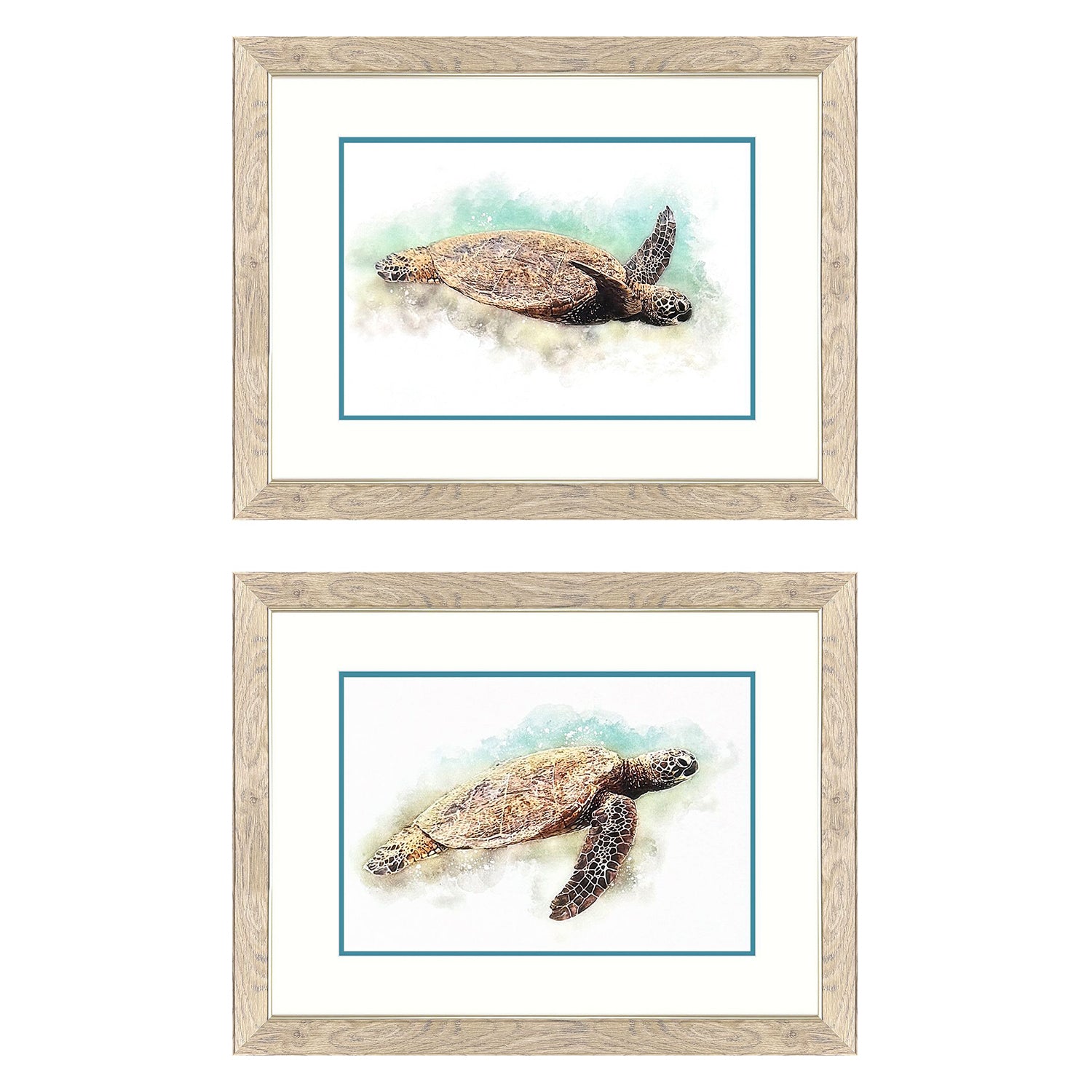 Malanta Knowles Hawaiian Turtle Framed Art Set of 2